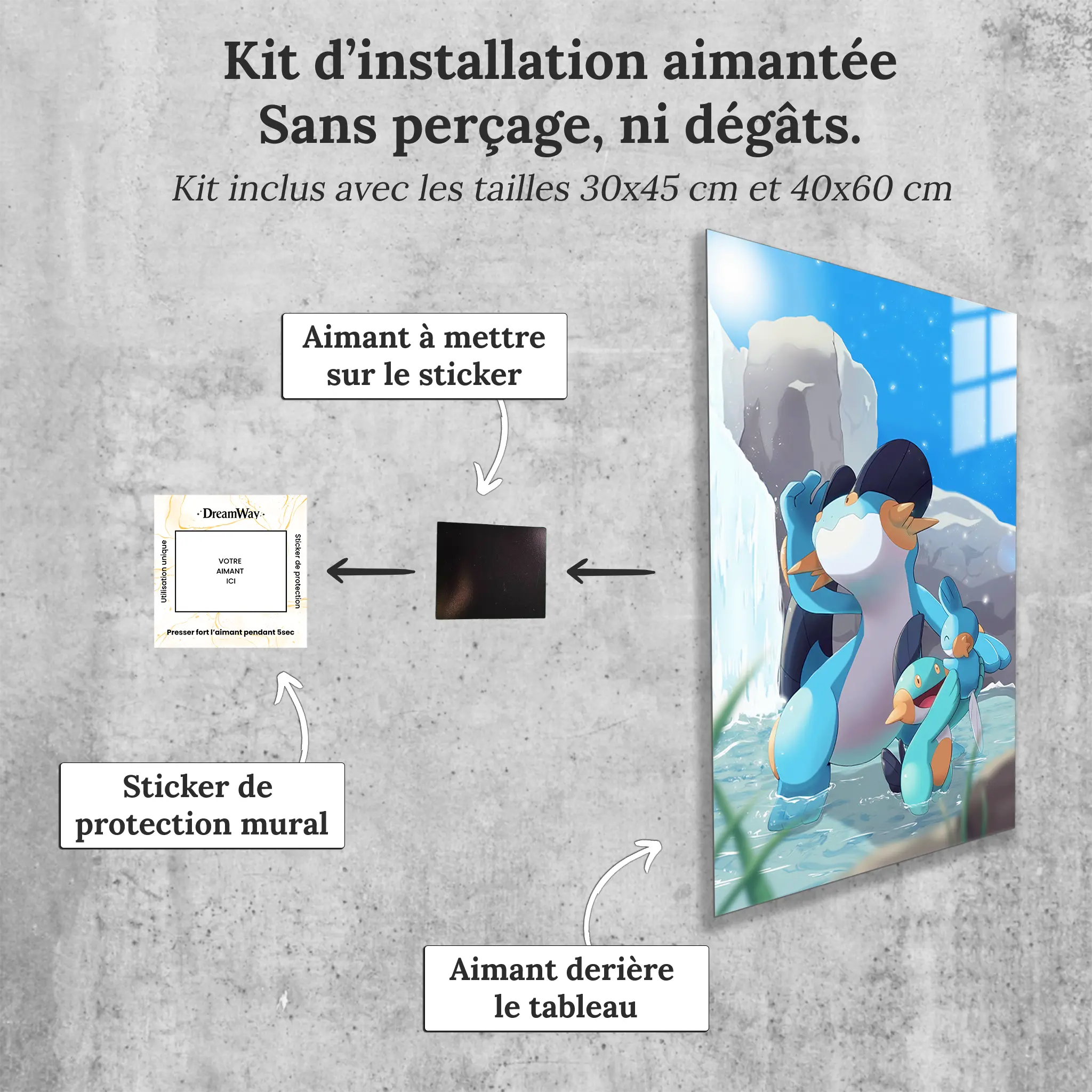 tableau-pokemon-gobou-et-ses-evolutions-avec-installation-aimantee | DreamWay