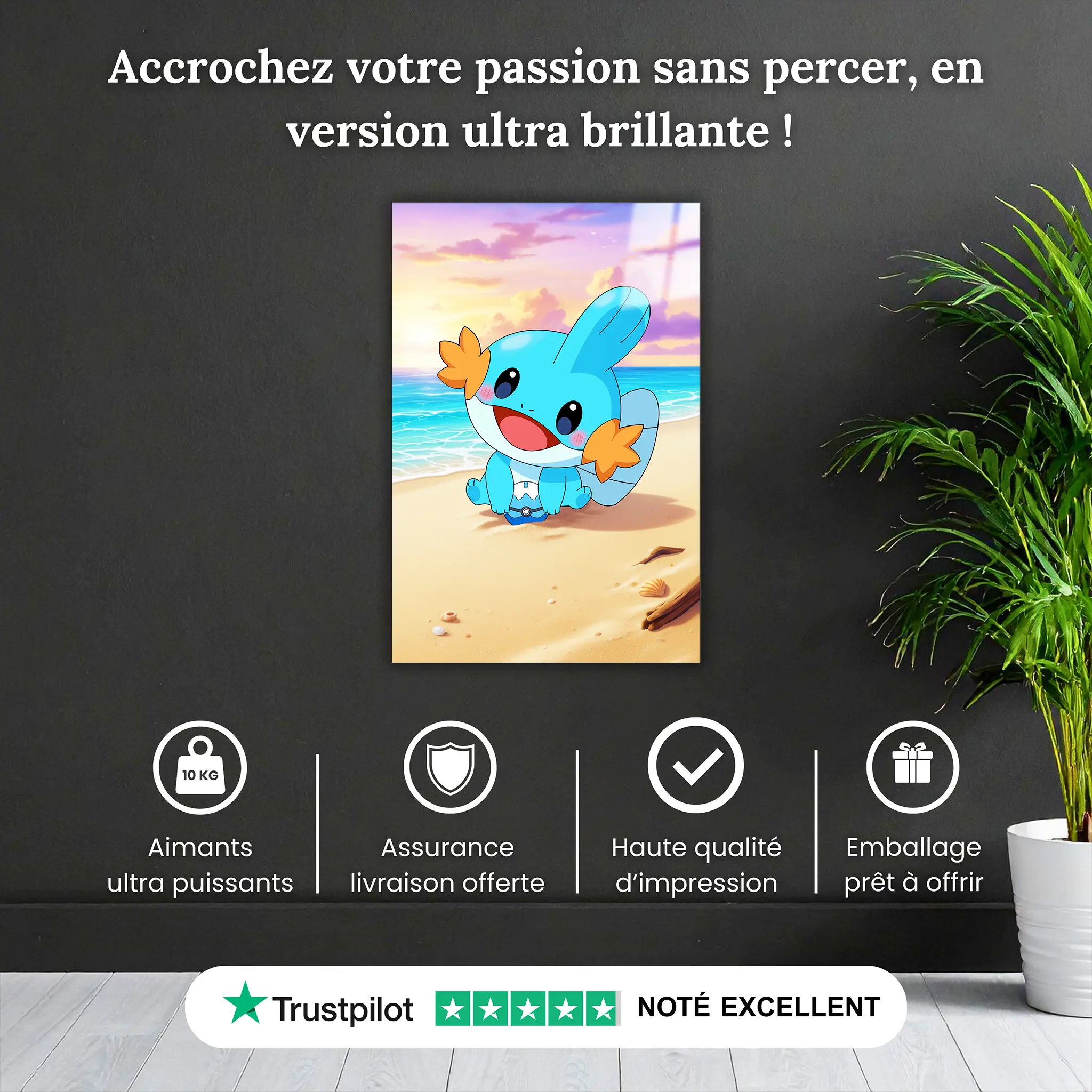 tableau-pokemon-gobou-plage-pourquoi-acheter | DreamWay