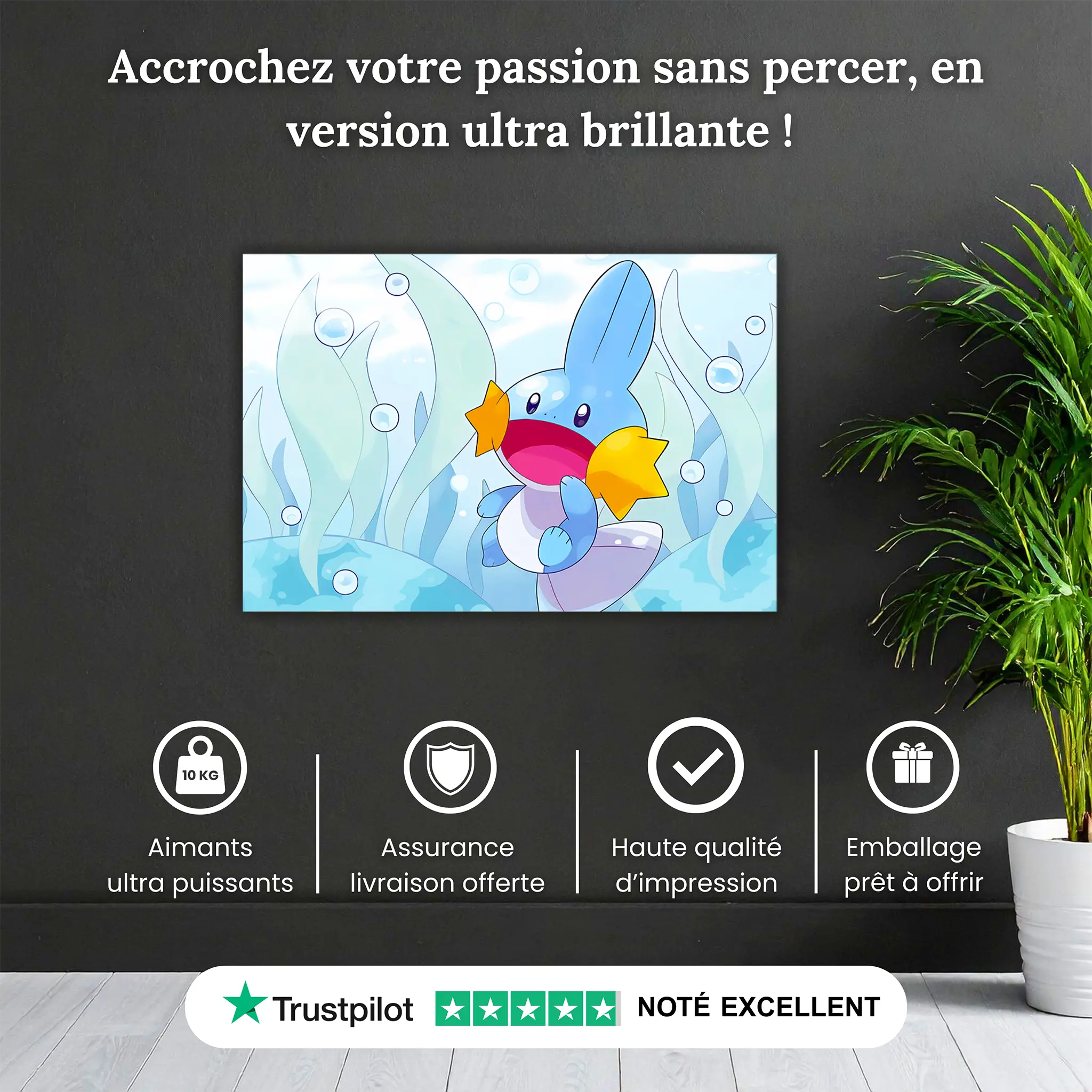tableau-pokemon-gobou-pourquoi-acheter | DreamWay