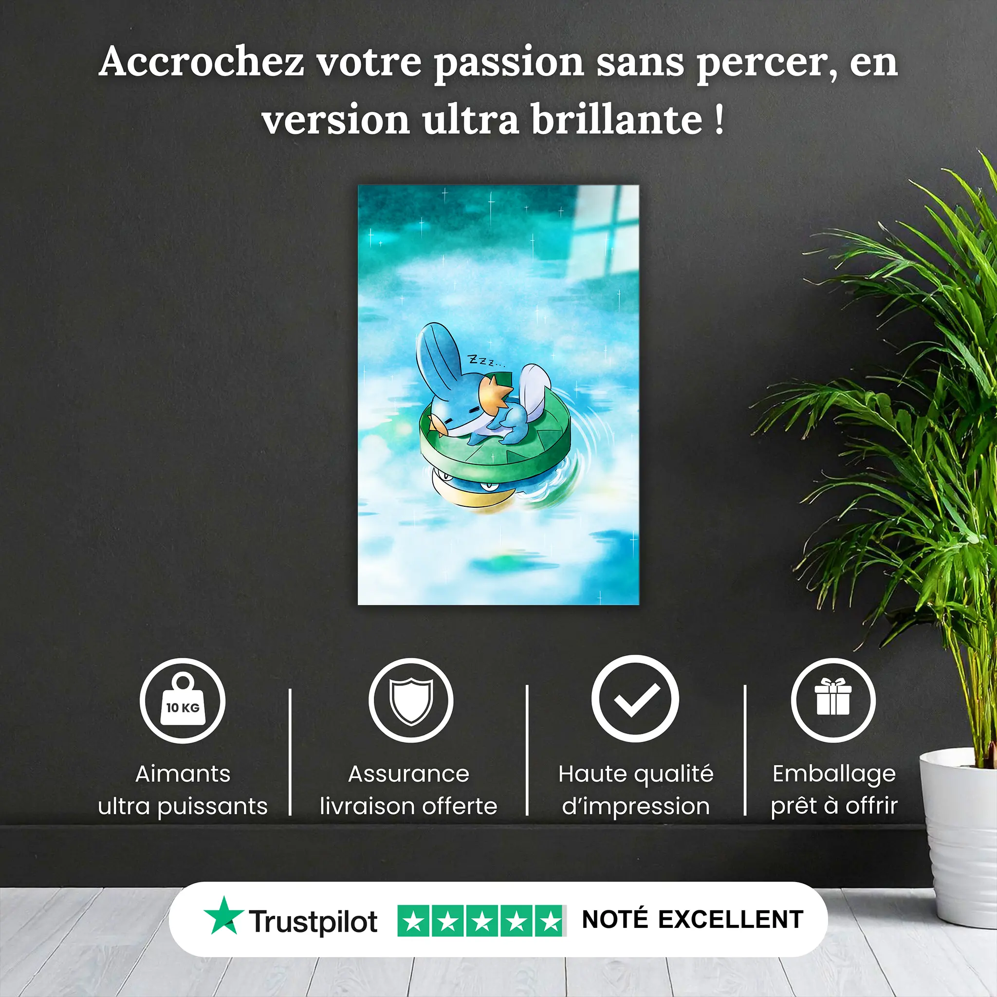 tableau-pokemon-gobou-sieste-pourquoi-acheter | DreamWay