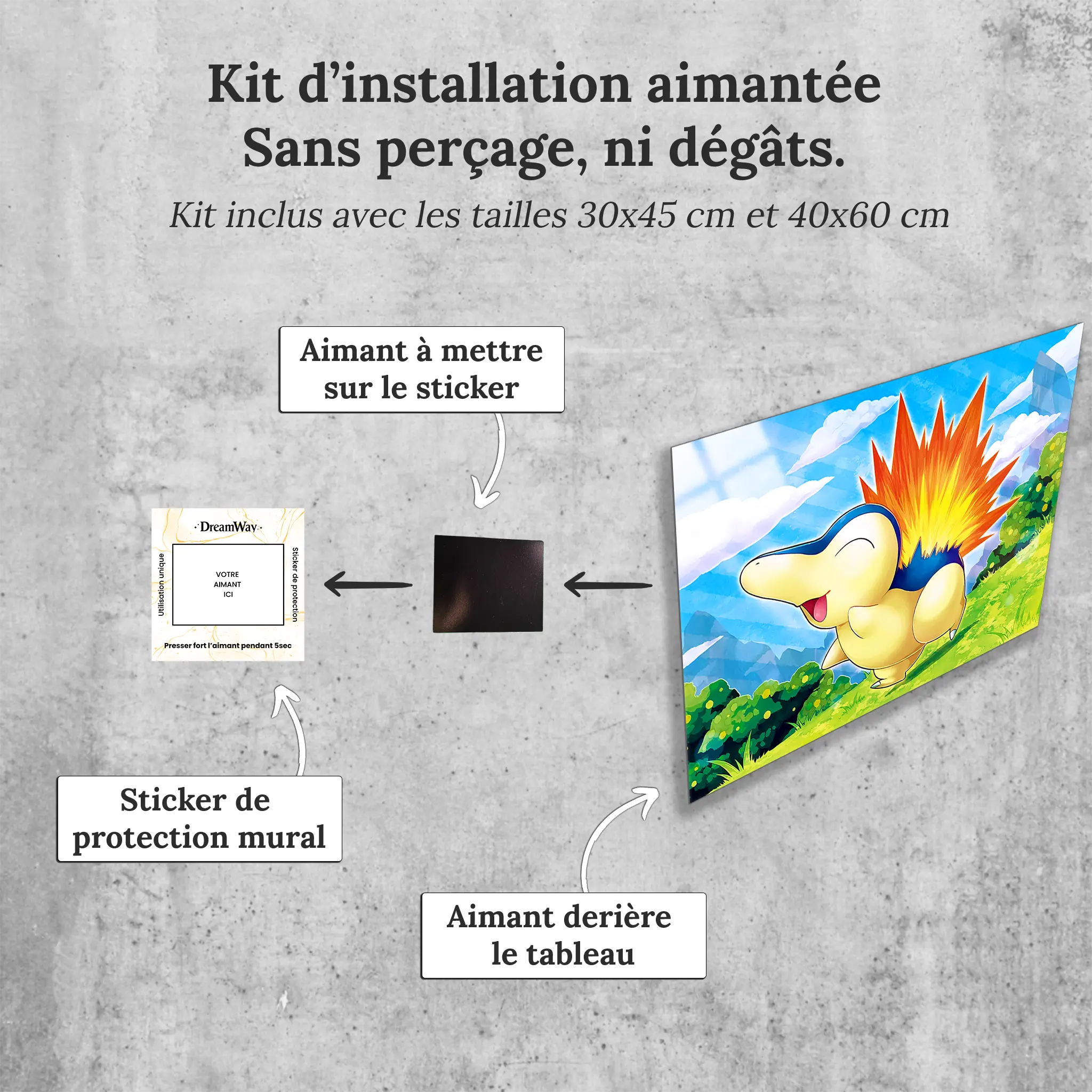 tableau-pokemon-hericendre-nature-avec-installation-aimantee | DreamWay