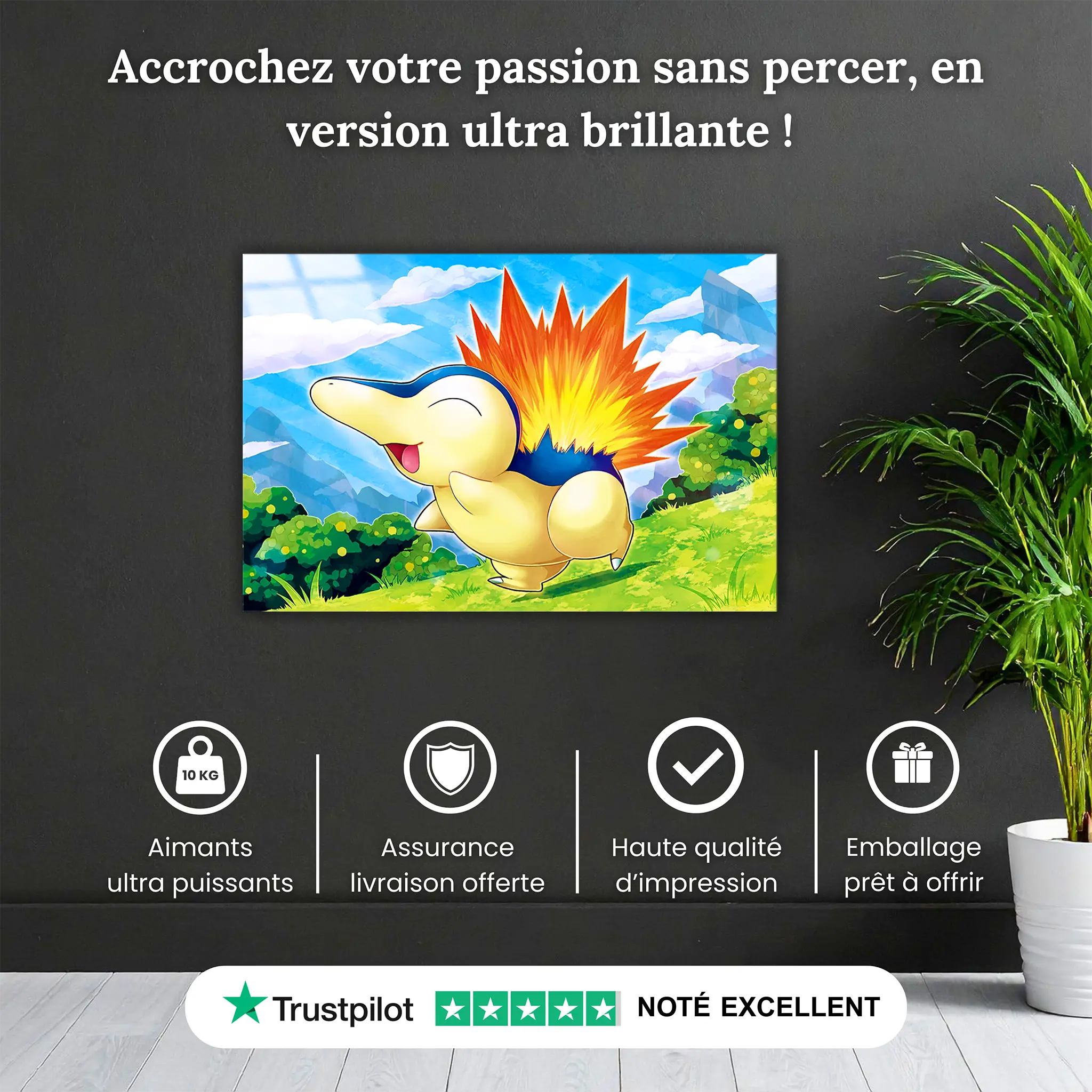 tableau-pokemon-hericendre-nature-pourquoi-acheter | DreamWay