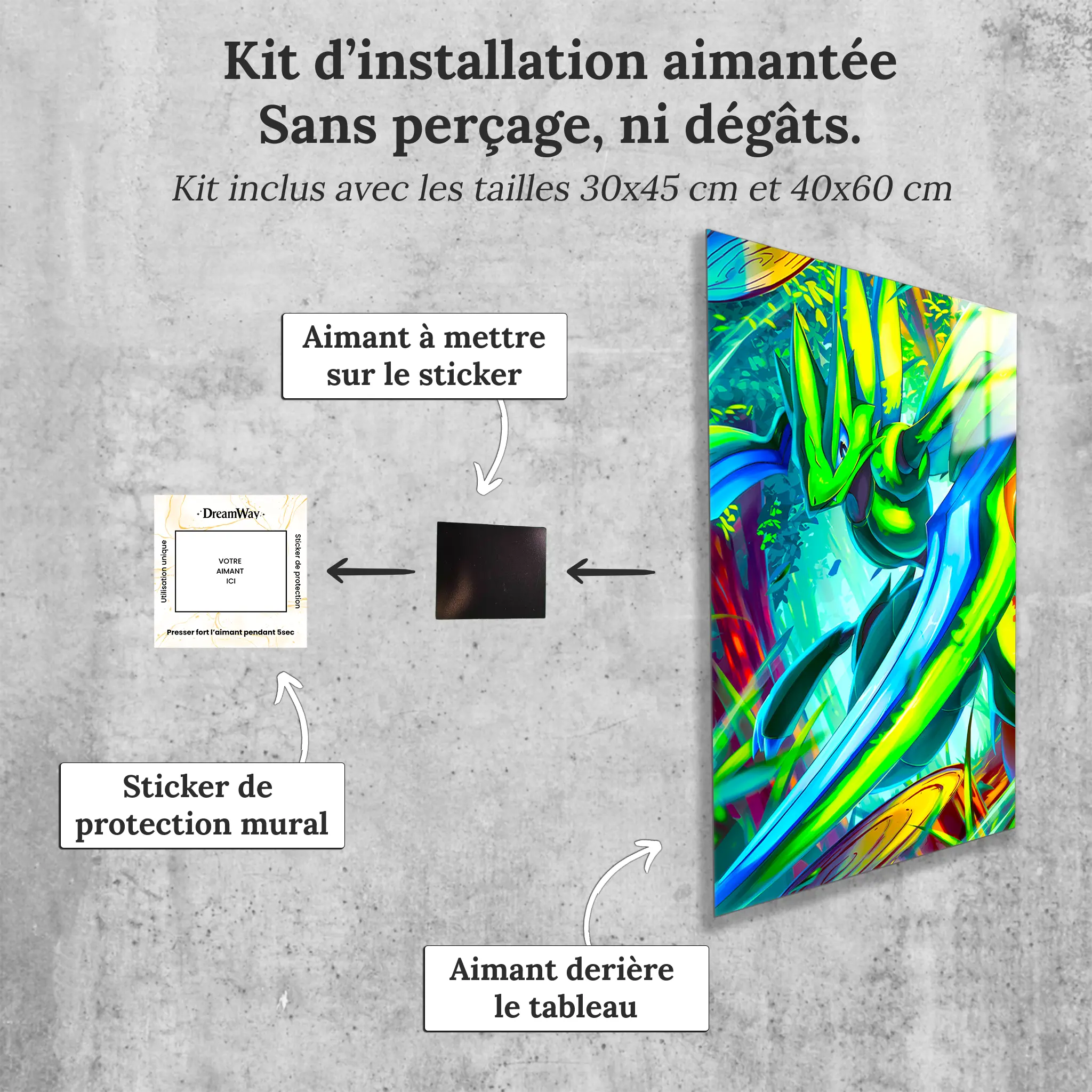 tableau-pokemon-insecateur-avec-installation-aimantee | DreamWay