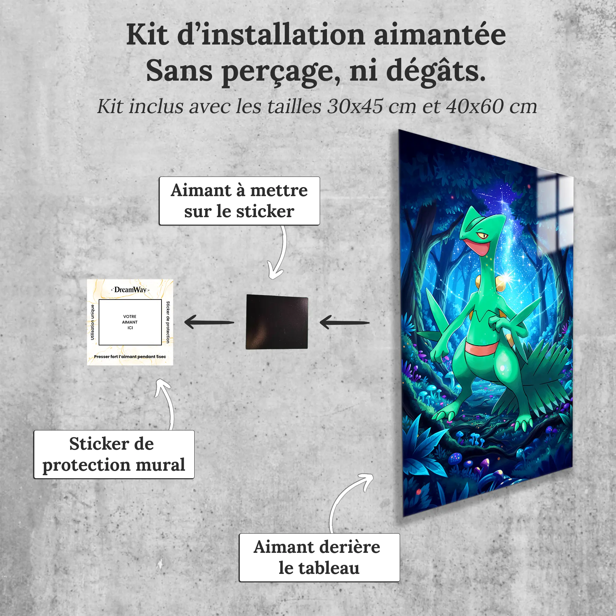 tableau-pokemon-jungko-avec-installation-aimantee | DreamWay