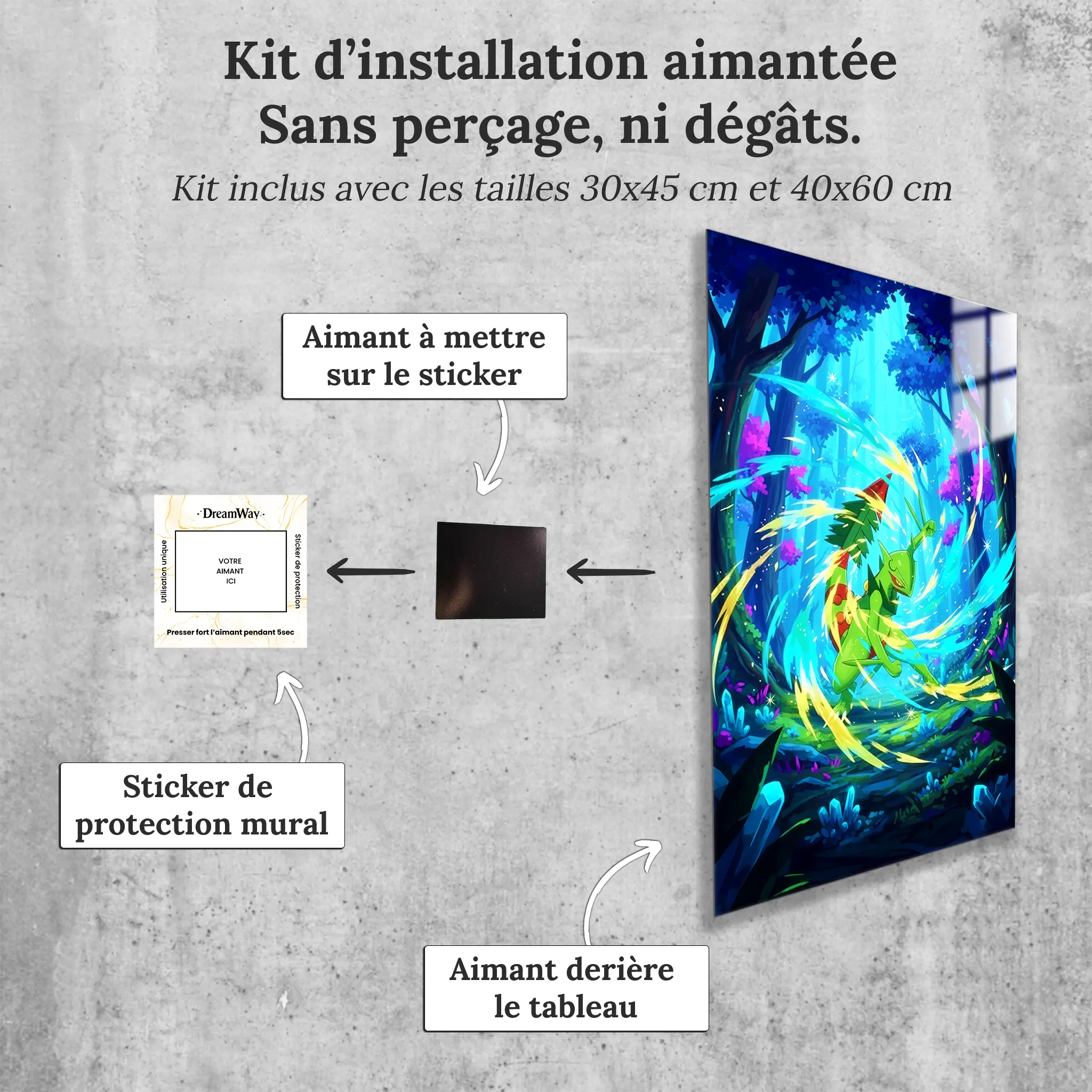 tableau-pokemon-jungko-colore-avec-installation-aimantee | DreamWay