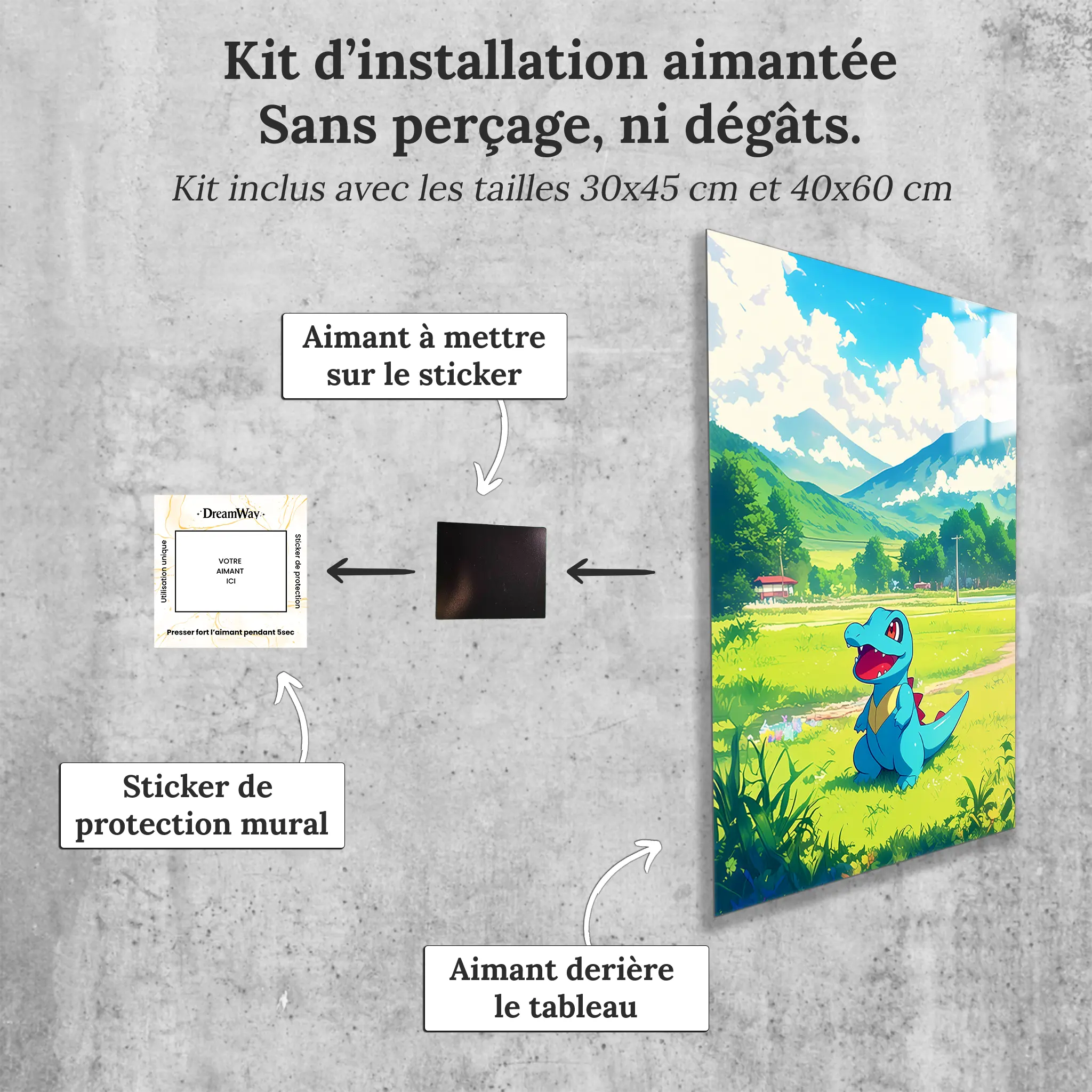 tableau-pokemon-kaiminus-avec-installation-aimantee | DreamWay