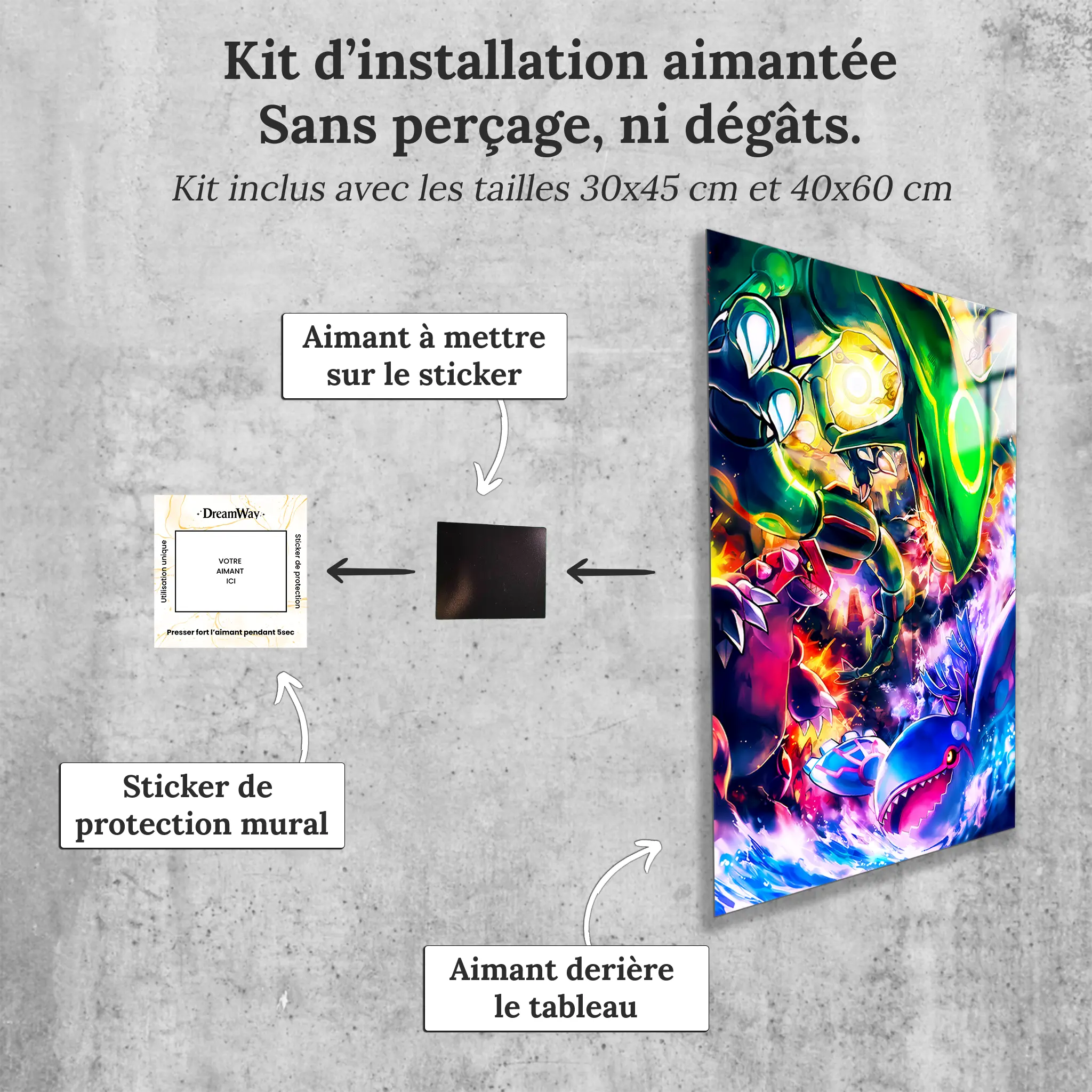 tableau-pokemon-legendaire-avec-installation-aimantee | DreamWay