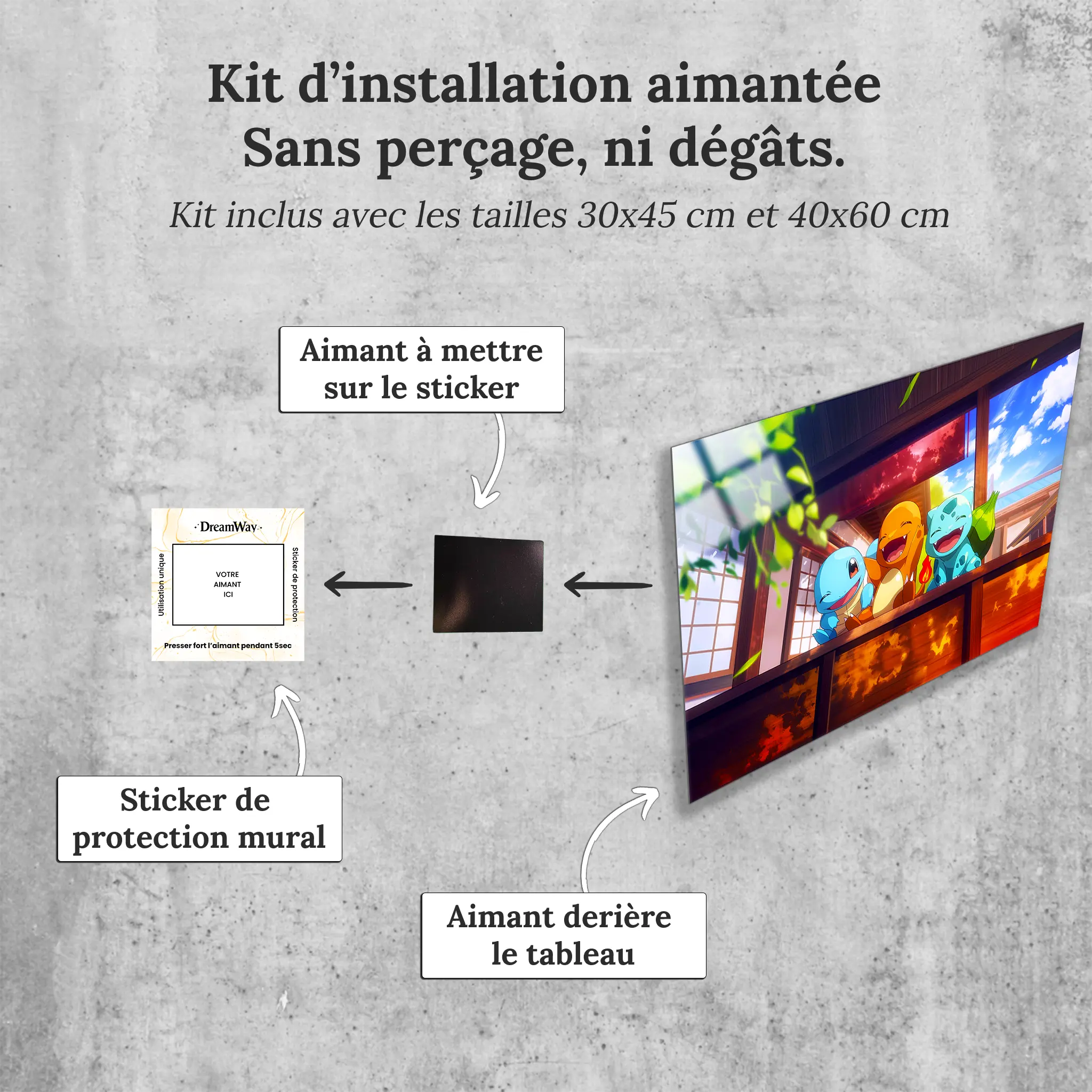 tableau-pokemon-les-starters-avec-installation-aimantee | DreamWay