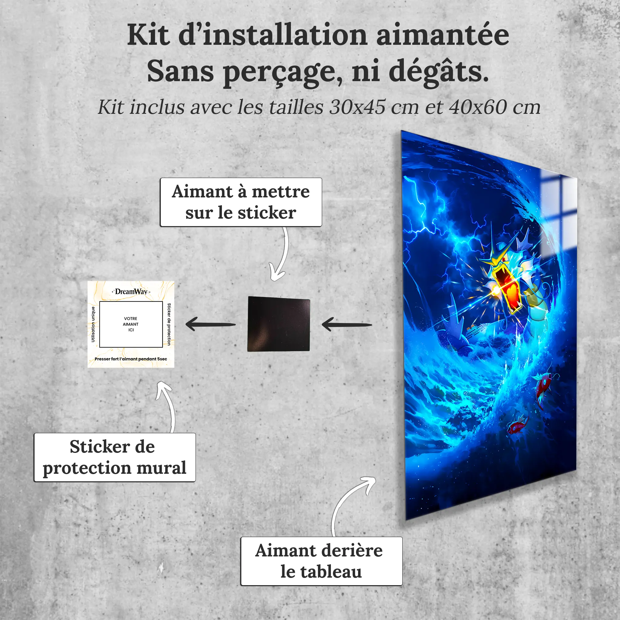 tableau-pokemon-leviator-avec-installation-aimantee | DreamWay