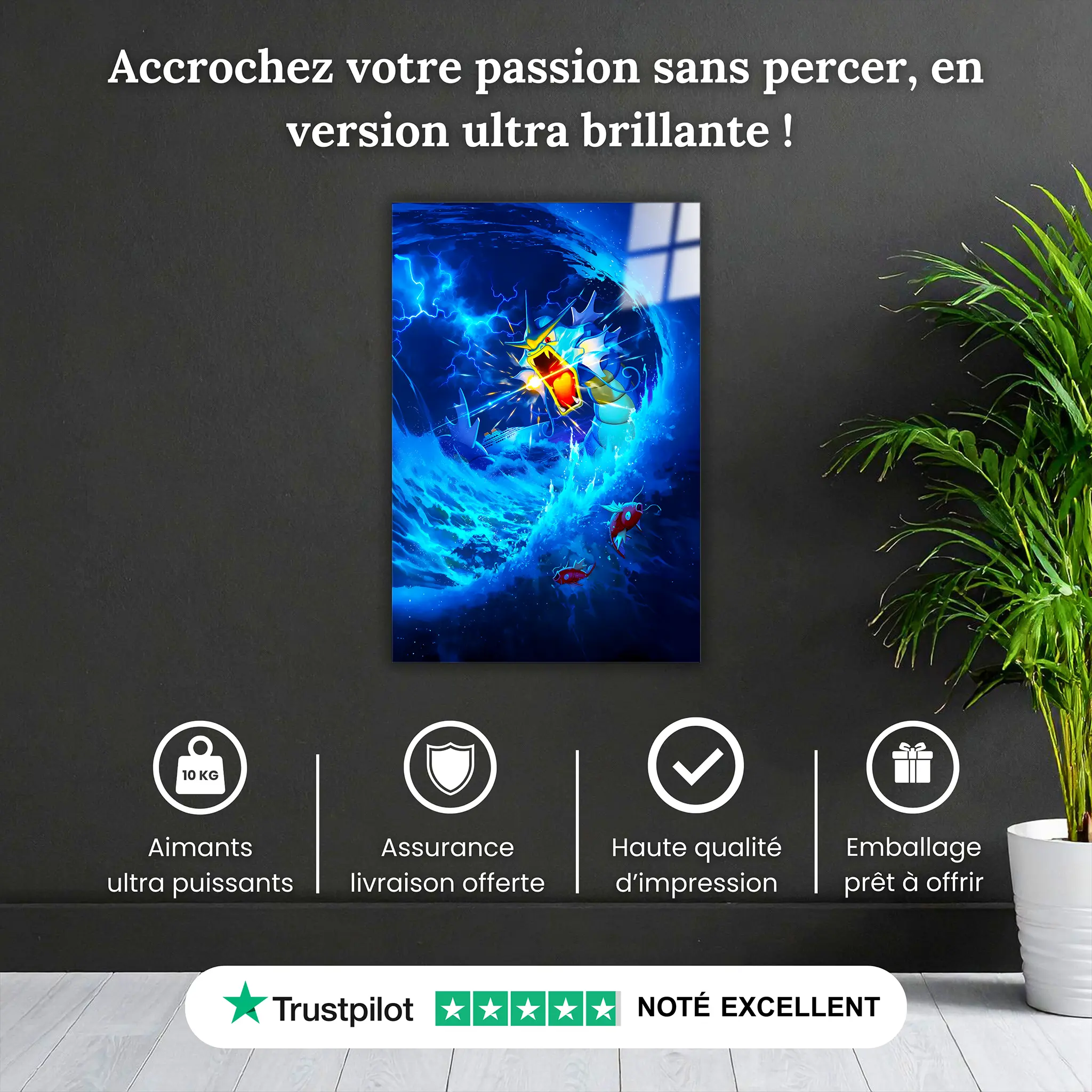 tableau-pokemon-leviator-pourquoi-acheter | DreamWay