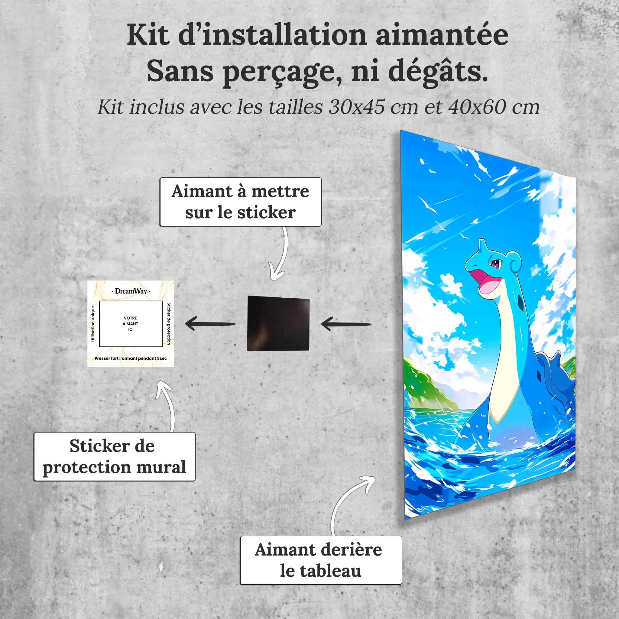 tableau-pokemon-lokhlass-avec-installation-aimantee | DreamWay