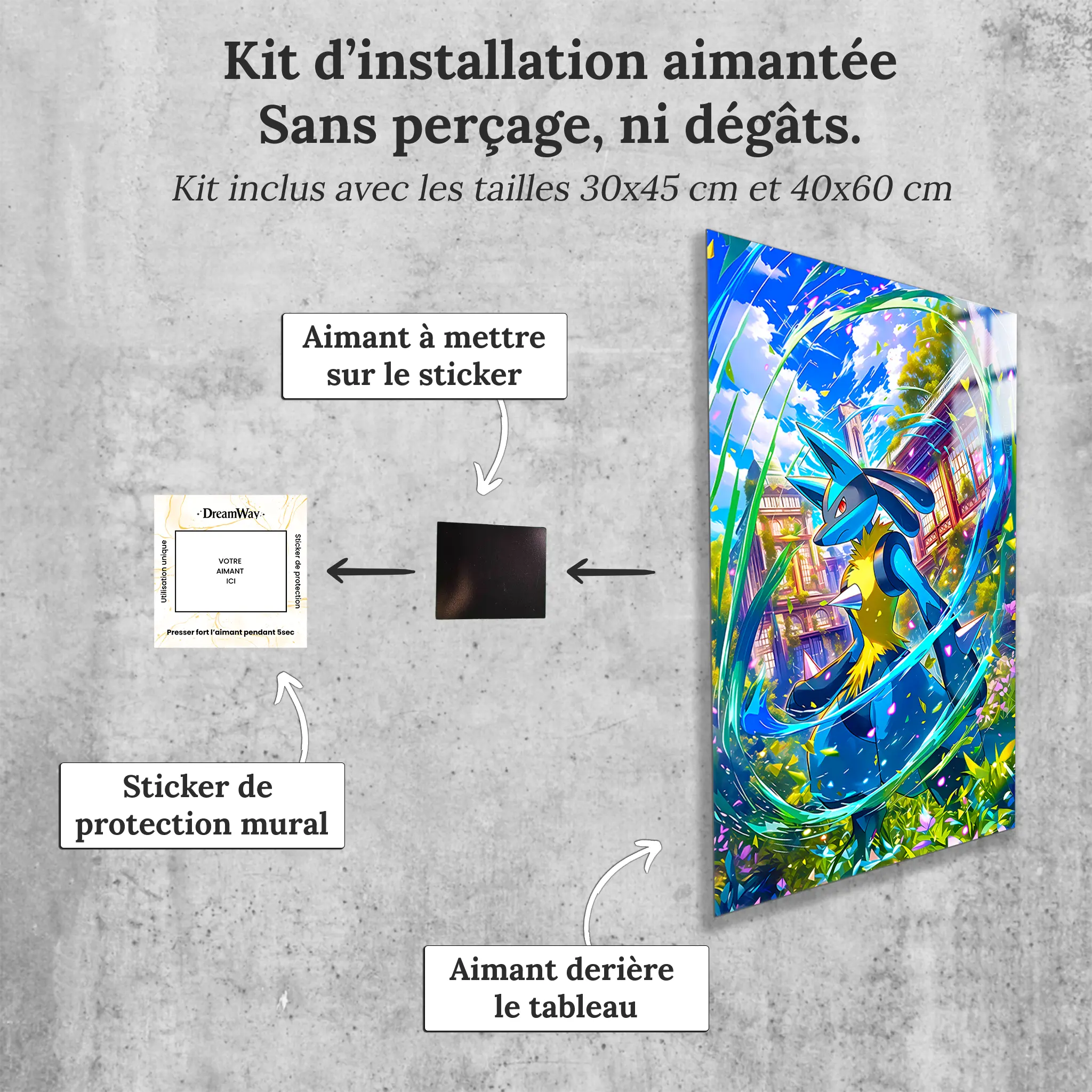 tableau-pokemon-lucario-avec-installation-aimantee | DreamWay