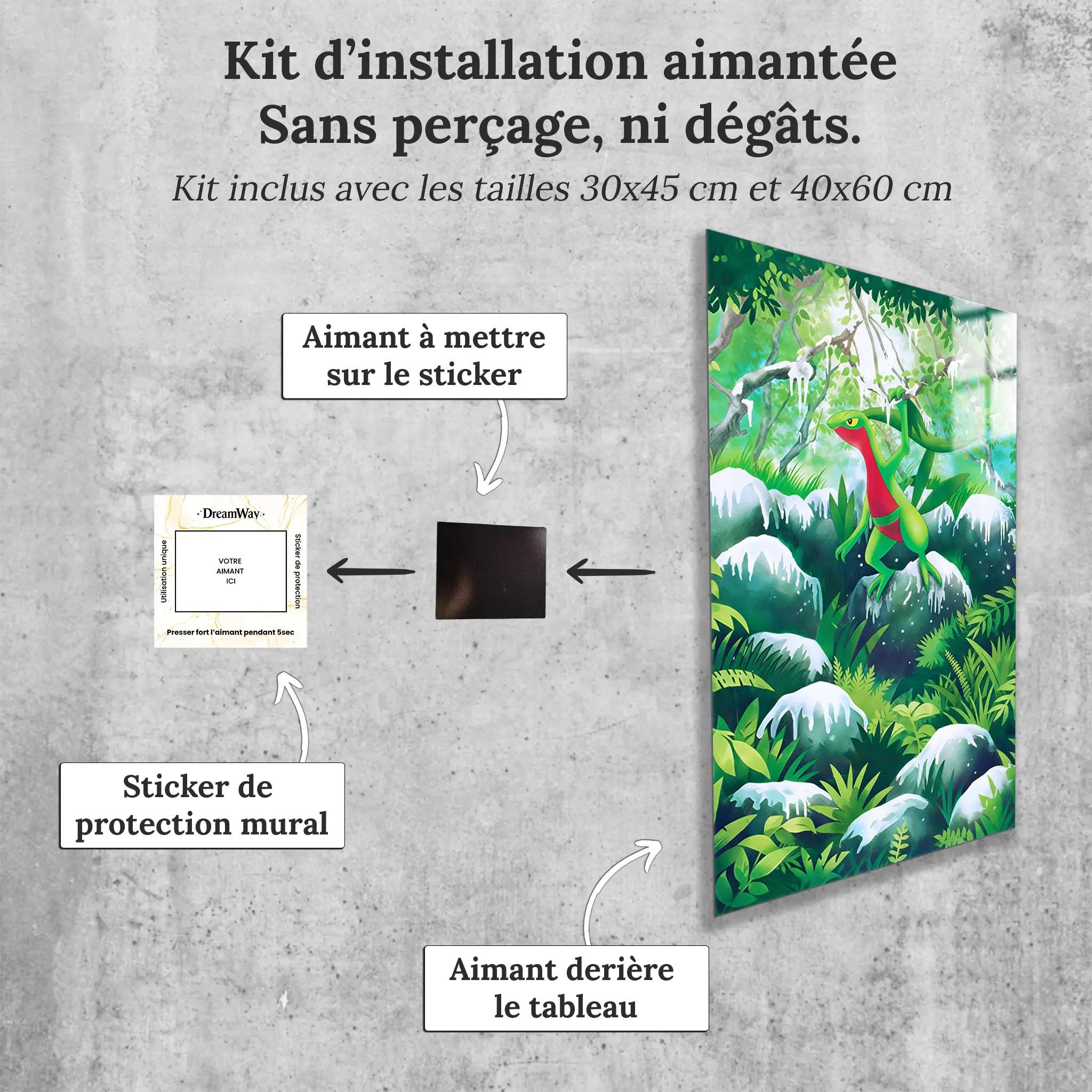 tableau-pokemon-massko-avec-installation-aimantee | DreamWay