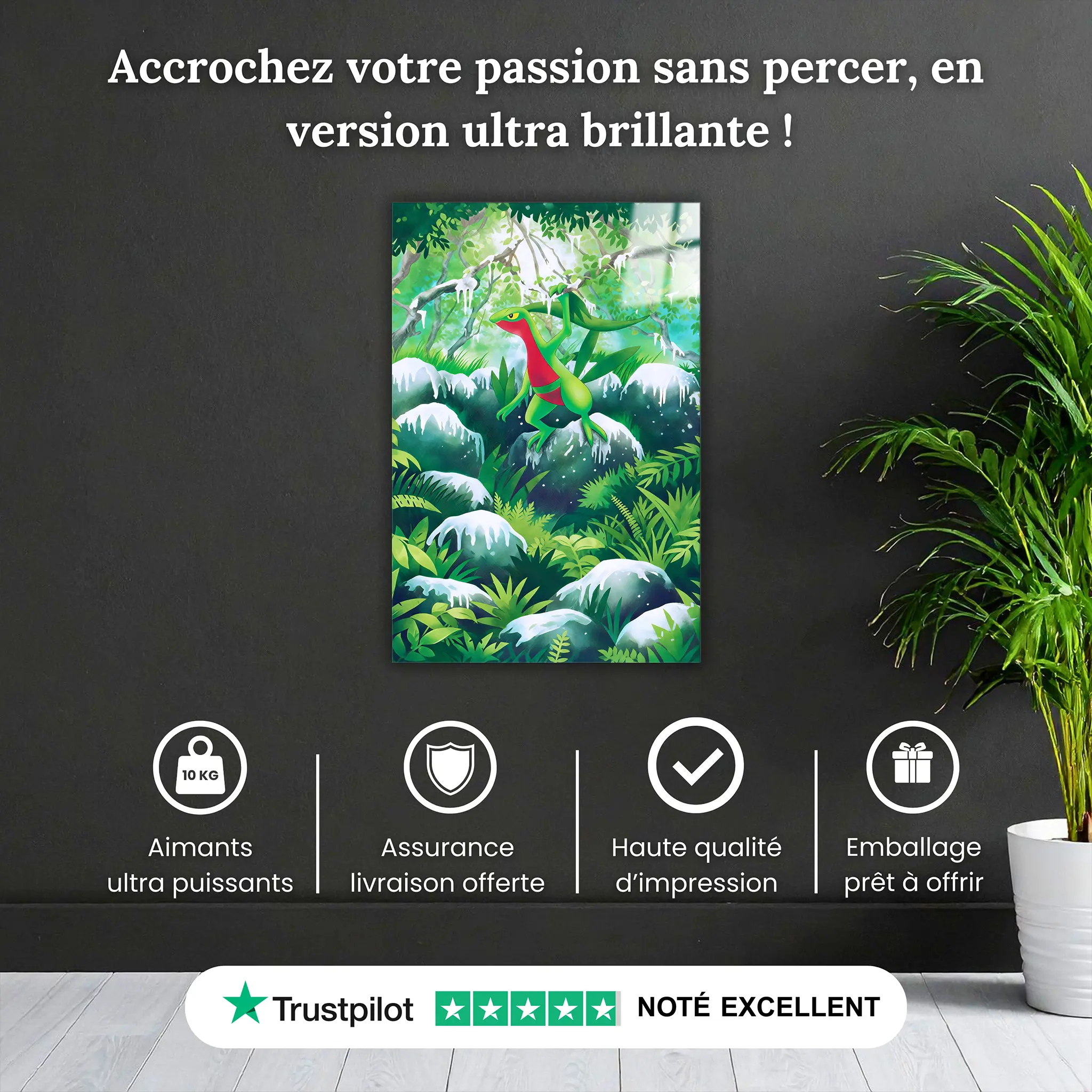 tableau-pokemon-massko-pourquoi-acheter | DreamWay