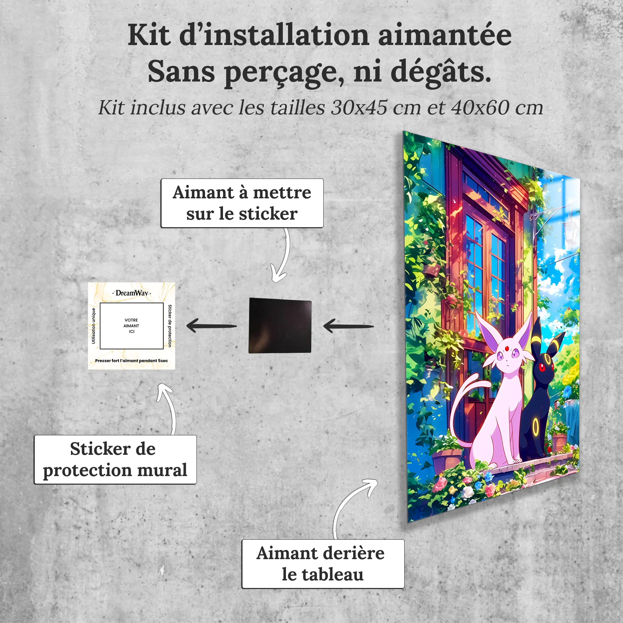 tableau-pokemon-mentali-et-noctali-avec-installation-aimantee | DreamWay