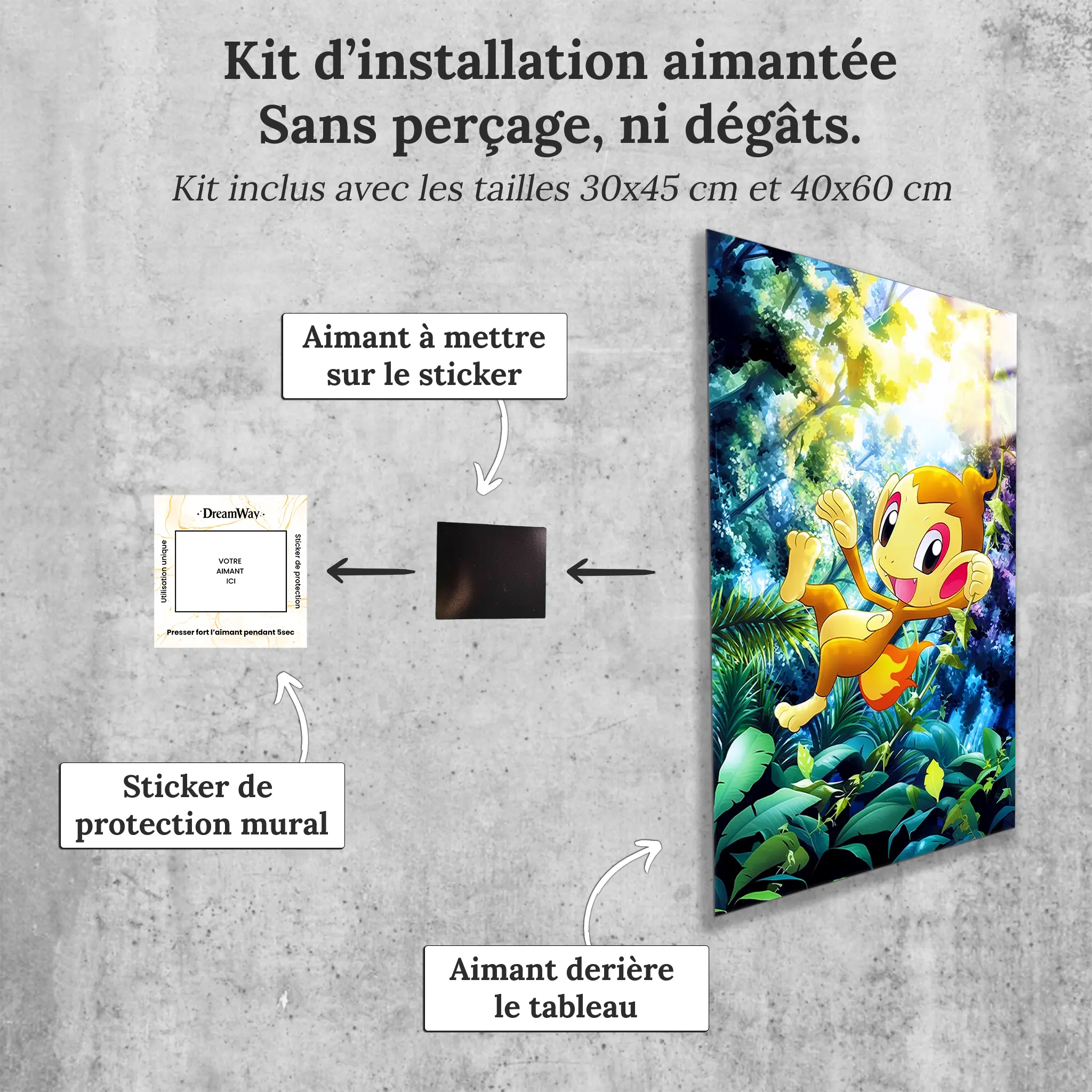 tableau-pokemon-ouisticram-avec-installation-aimantee | DreamWay
