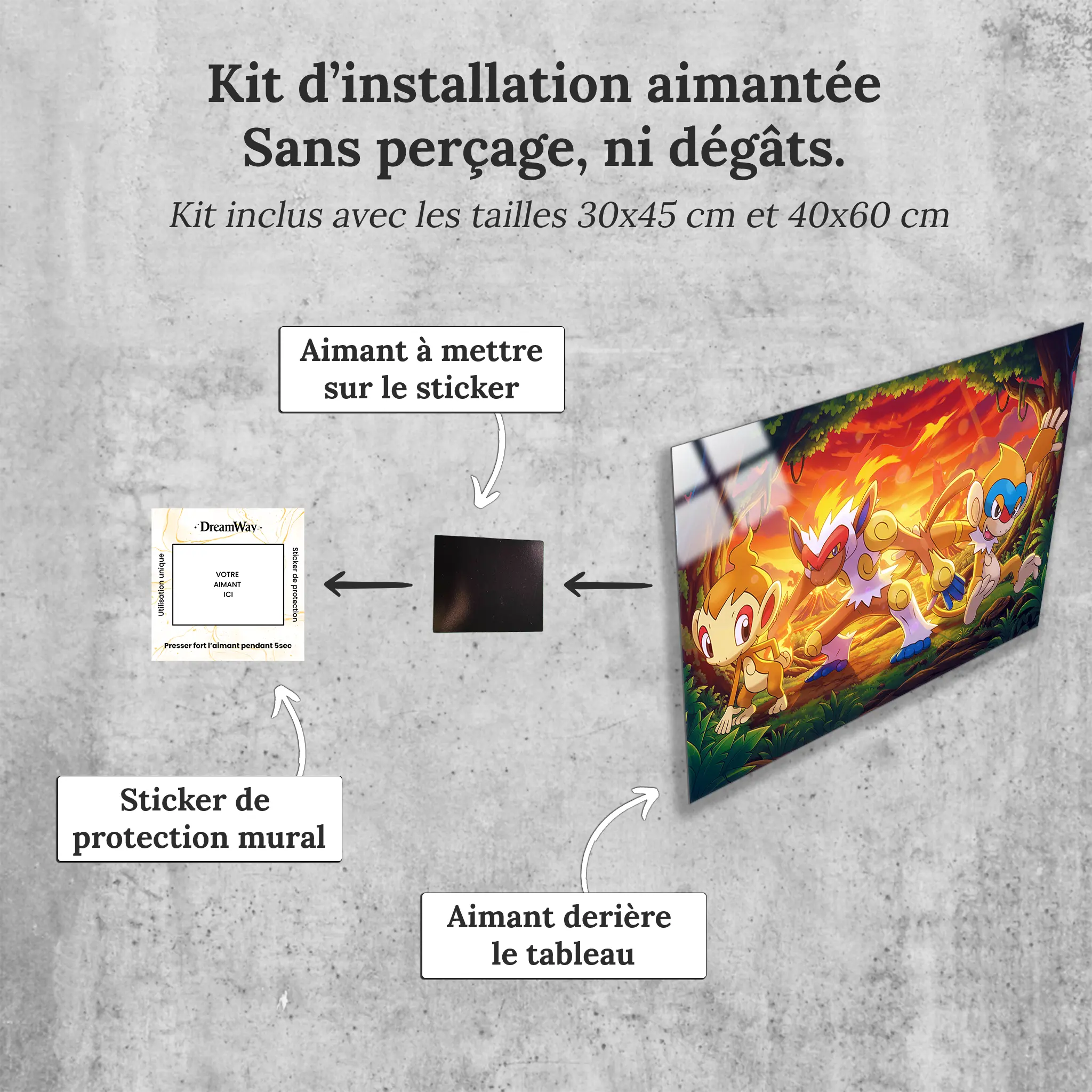 tableau-pokemon-ouisticram-et-ses-evolutions-avec-installation-aimantee | DreamWay