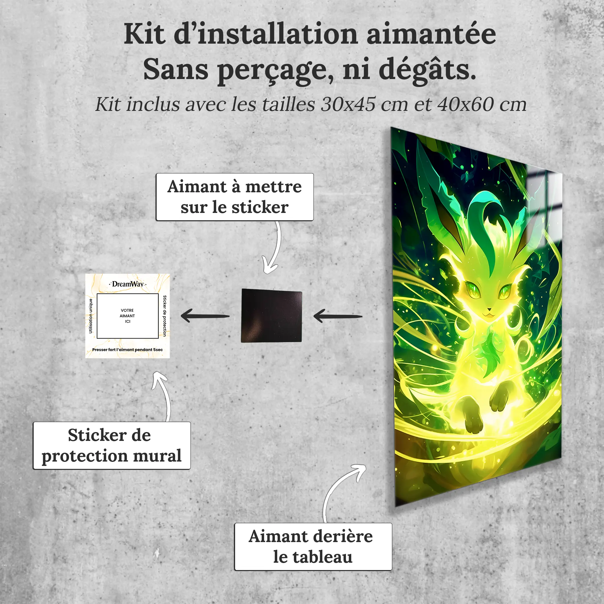 tableau-pokemon-phylalli-avec-installation-aimantee | DreamWay