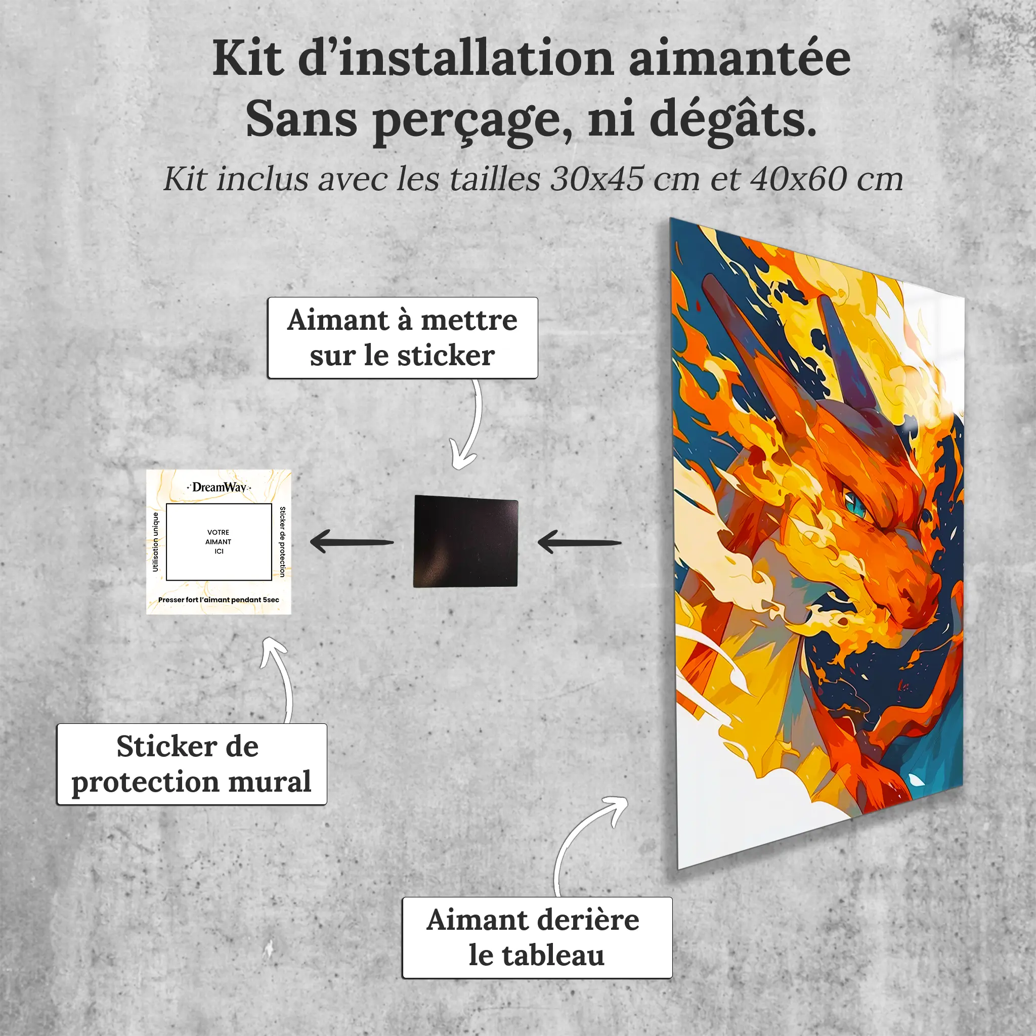 tableau-pokemon-portrait-dracofeu-avec-installation-aimantee | DreamWay