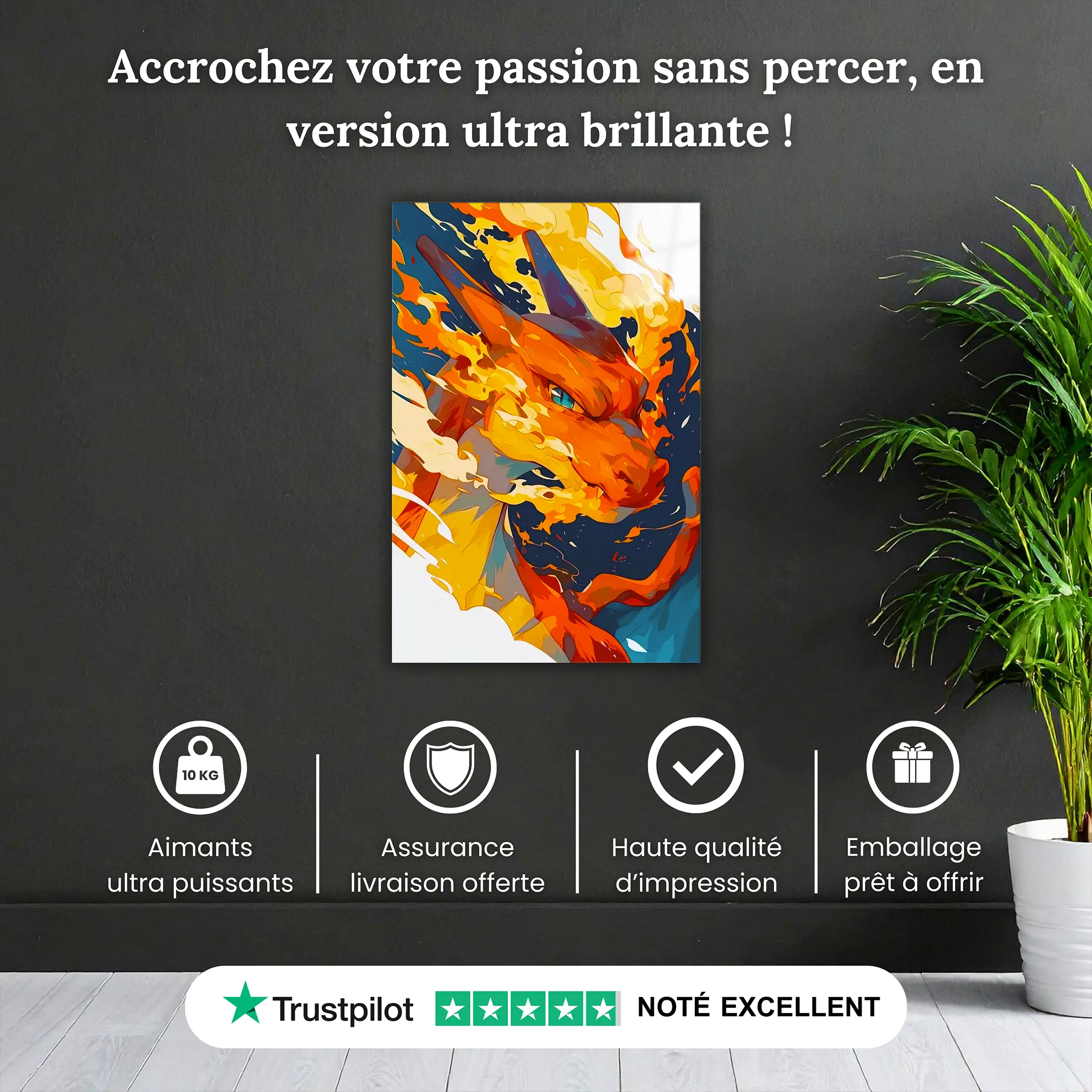 tableau-pokemon-portrait-dracofeu-pourquoi-acheter | DreamWay
