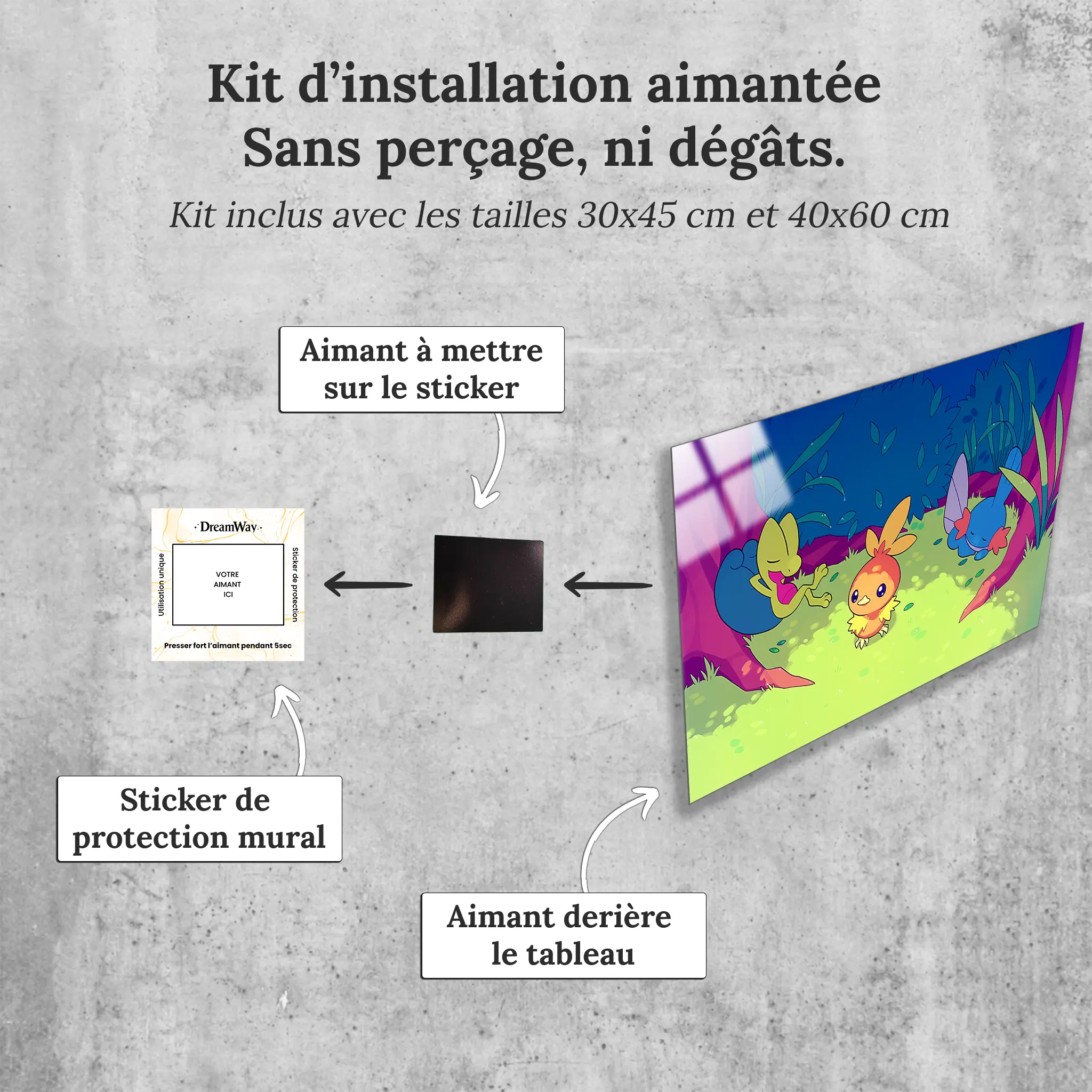 tableau-pokemon-poussifeu-arcko-et-gobou-avec-installation-aimantee | DreamWay