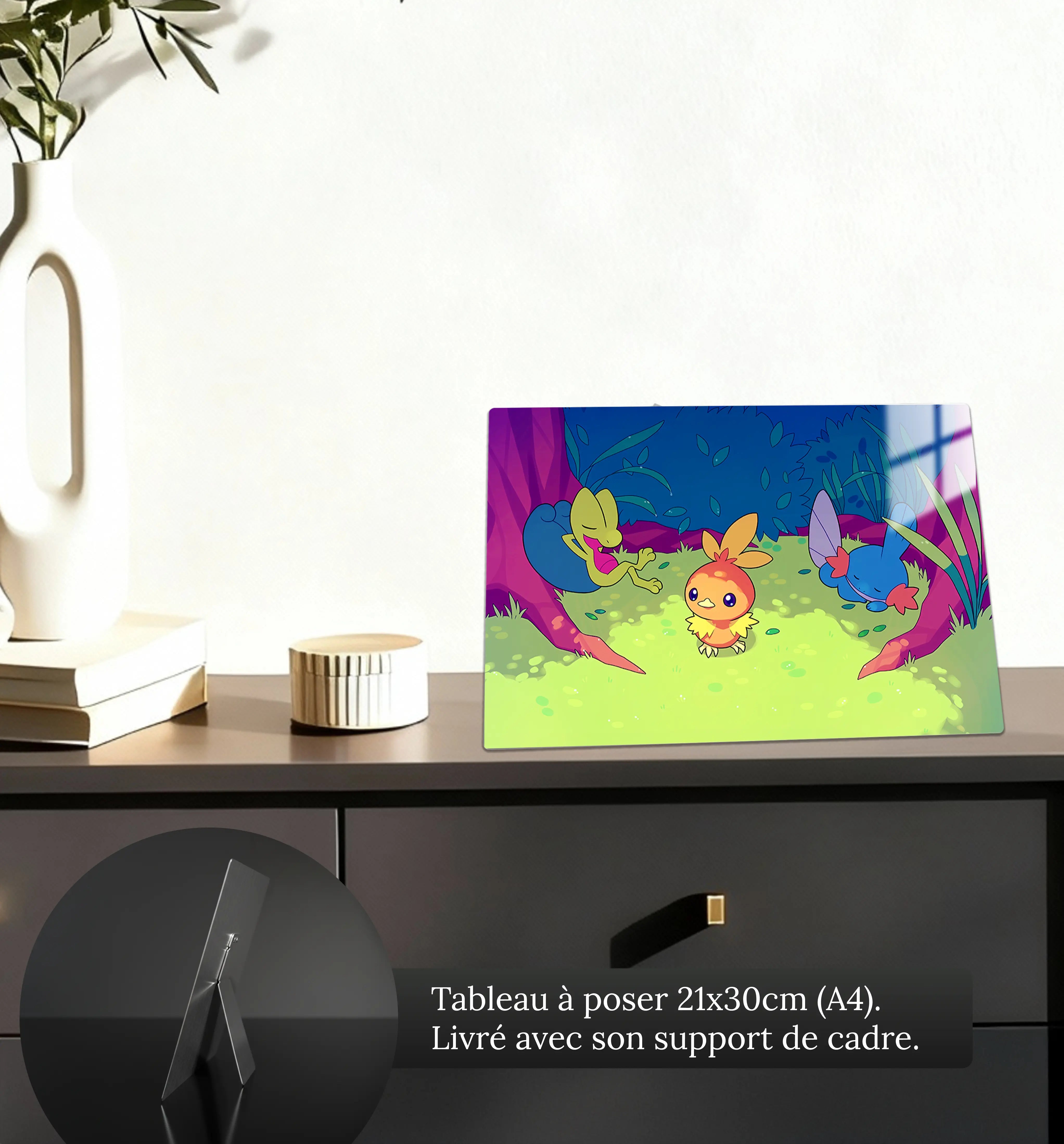 tableau-pokemon-poussifeu-arcko-et-gobou-petit-format-a-poser-sur-meuble | DreamWay
