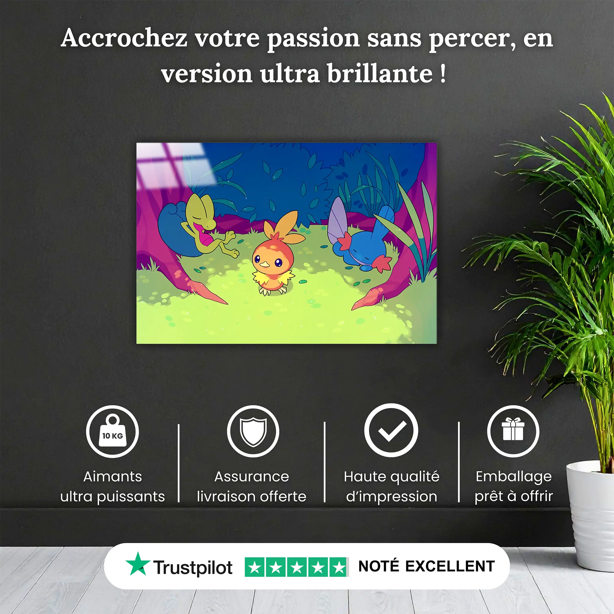 tableau-pokemon-poussifeu-arcko-et-gobou-pourquoi-acheter | DreamWay