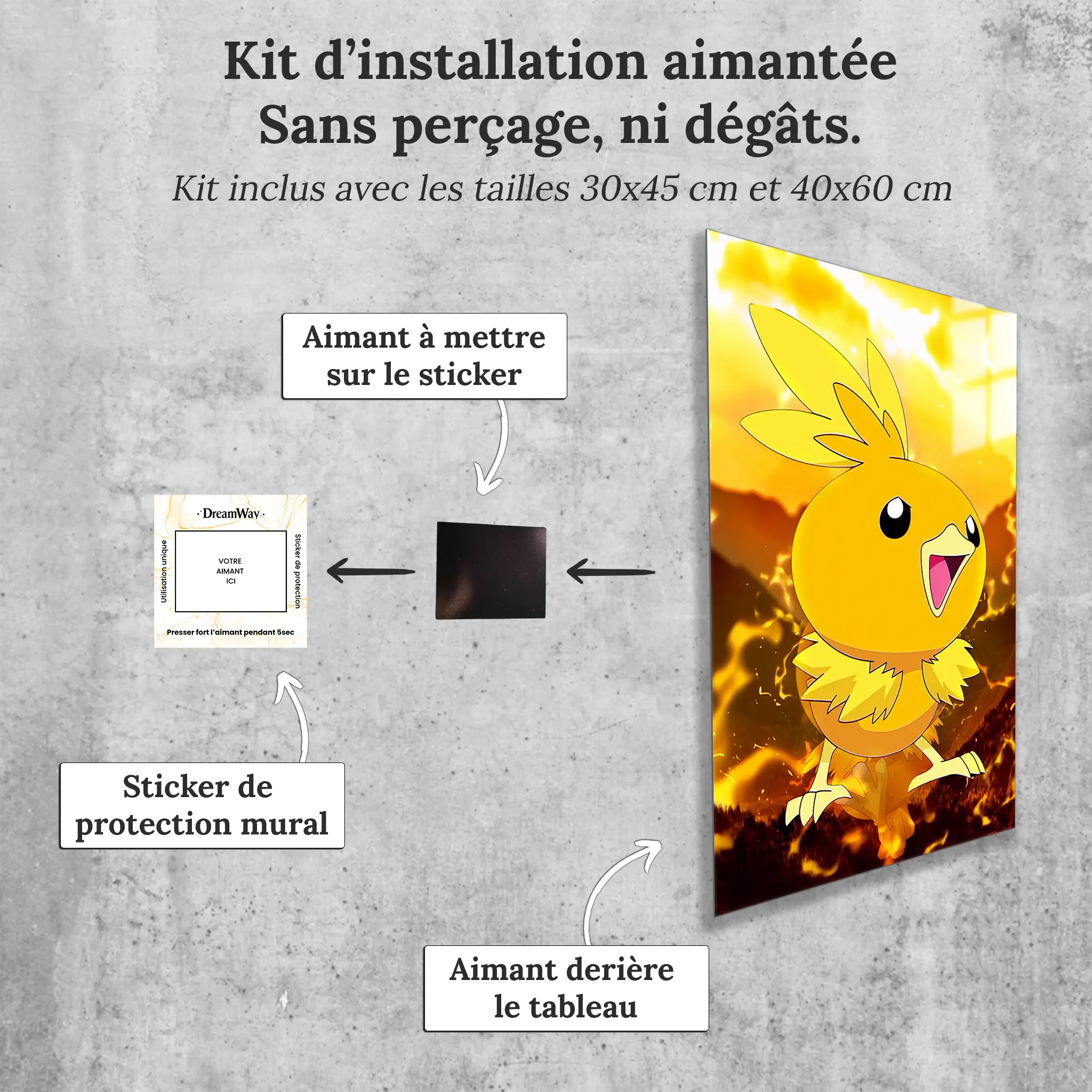 tableau-pokemon-poussifeu-avec-installation-aimantee | DreamWay