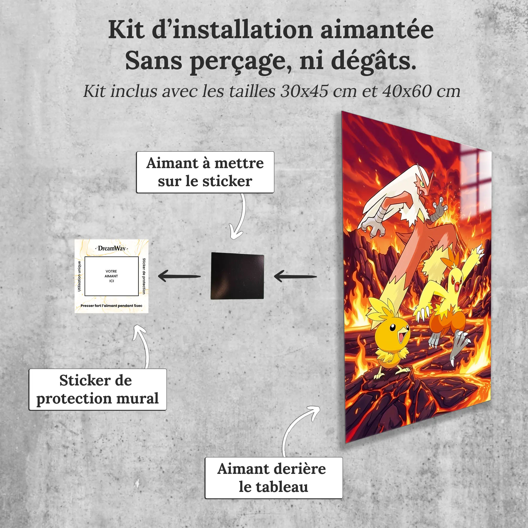 tableau-pokemon-poussifeu-et-ses-evolutions-avec-installation-aimantee | DreamWay