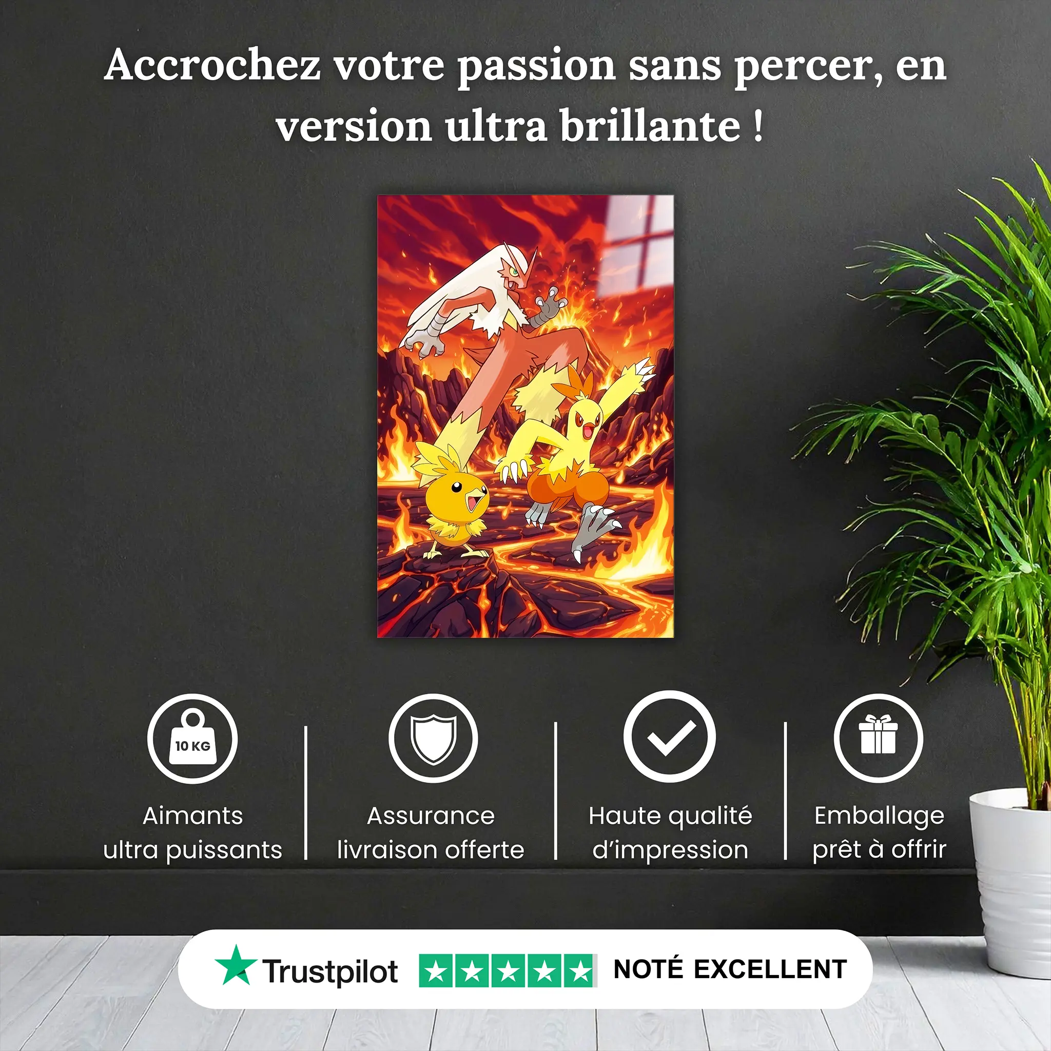 tableau-pokemon-poussifeu-et-ses-evolutions-pourquoi-acheter | DreamWay