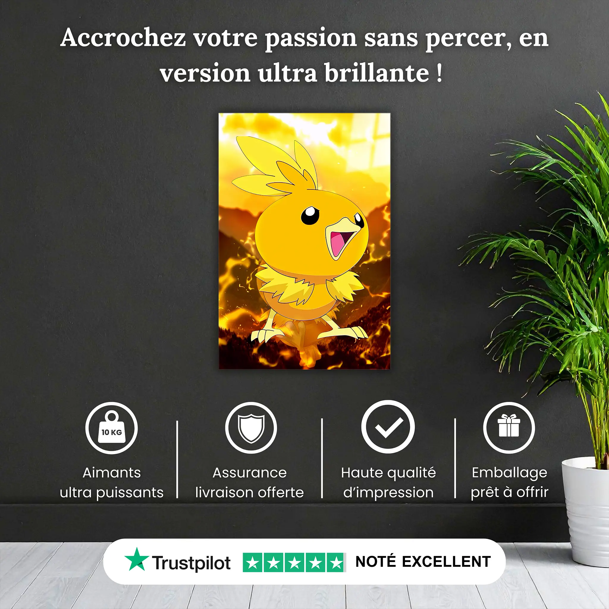 tableau-pokemon-poussifeu-pourquoi-acheter | DreamWay