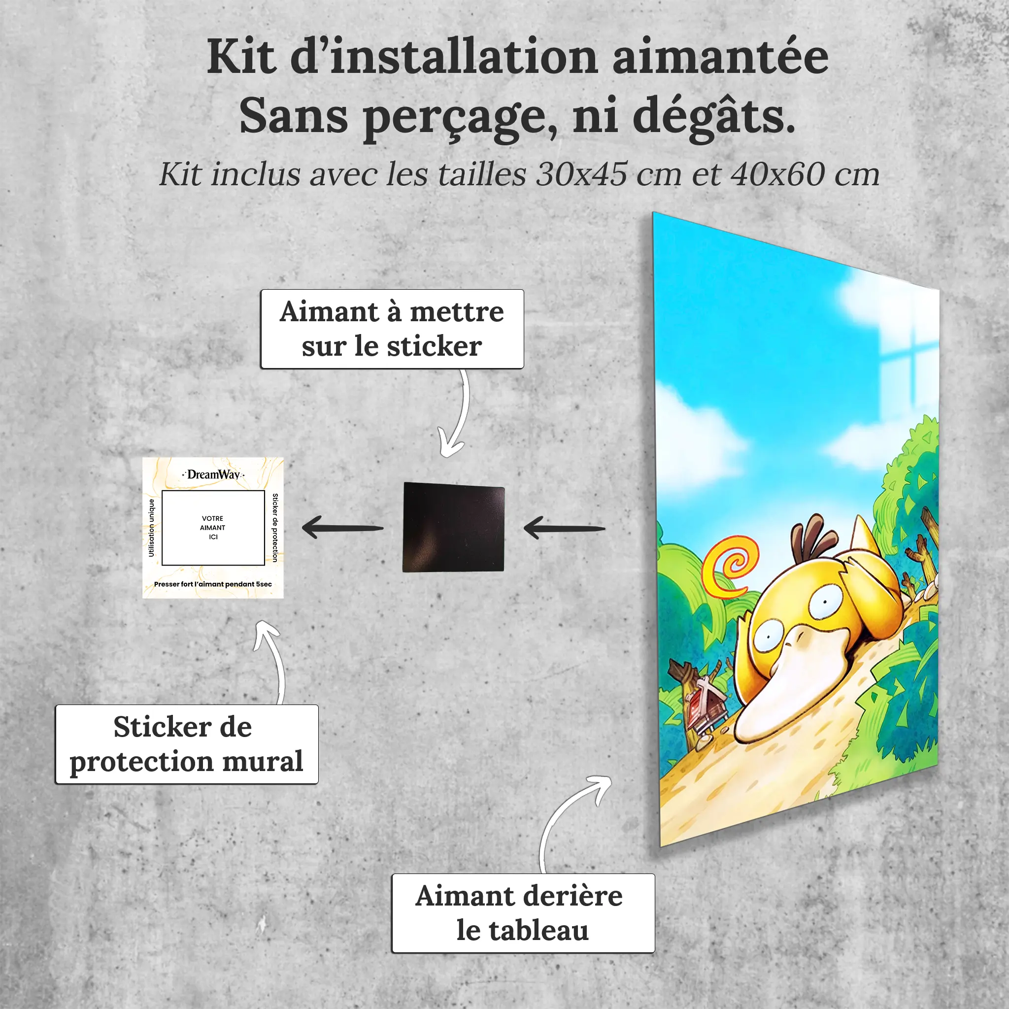 tableau-pokemon-psykokwak-avec-installation-aimantee | DreamWay