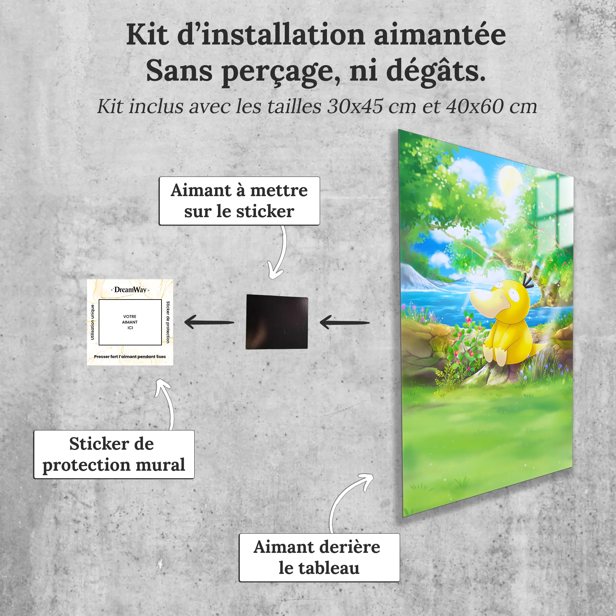 tableau-pokemon-psykokwak-nature-avec-installation-aimantee | DreamWay
