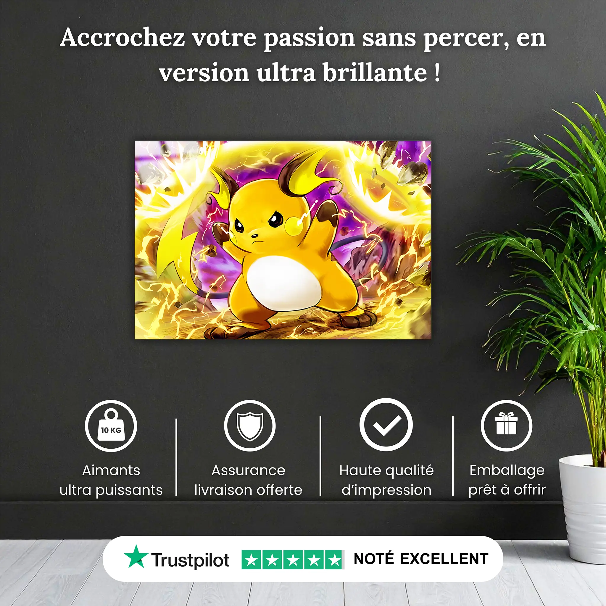tableau-pokemon-raichu-attaque-pourquoi-acheter | DreamWay