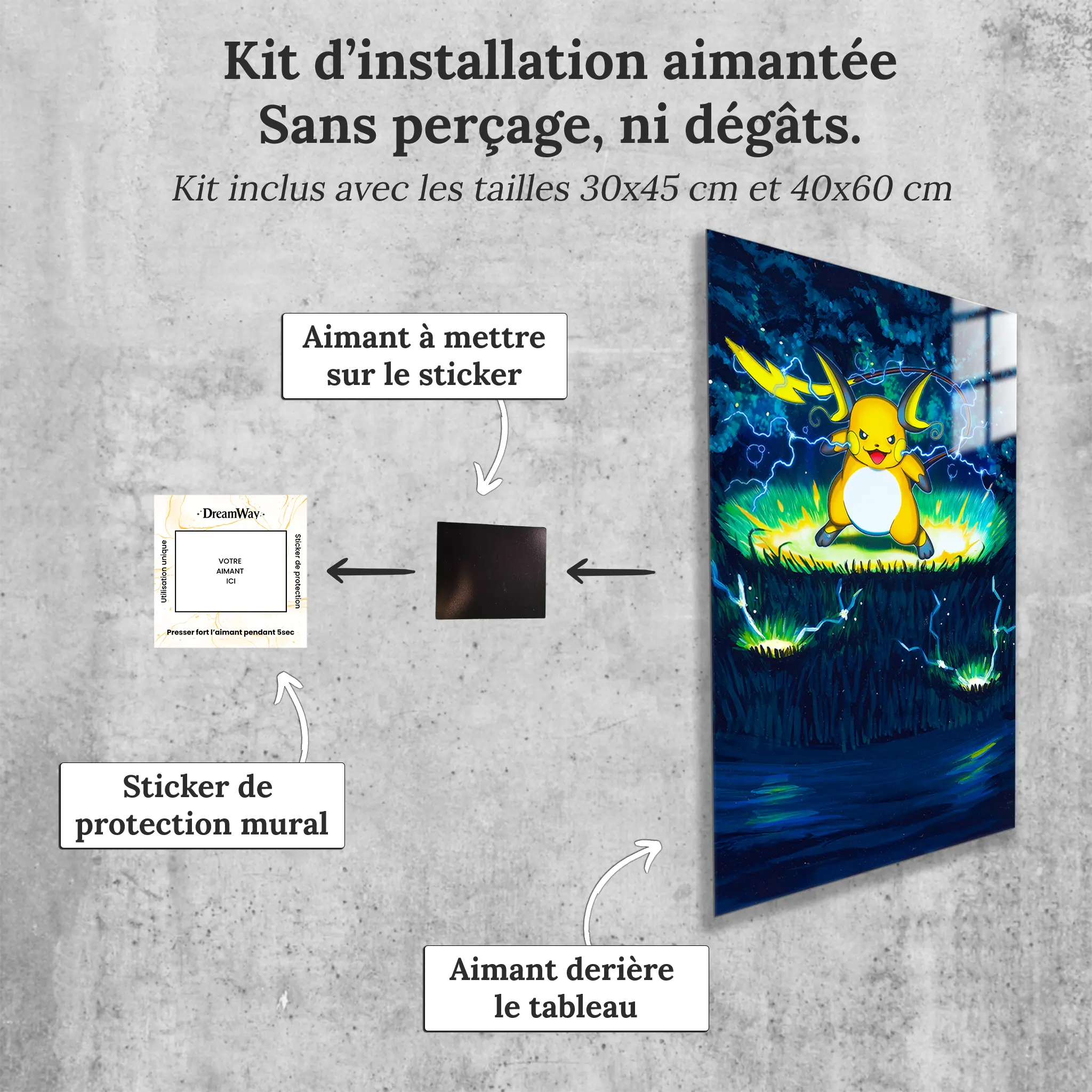 tableau-pokemon-raichu-tir-de-tonerre-avec-installation-aimantee | DreamWay