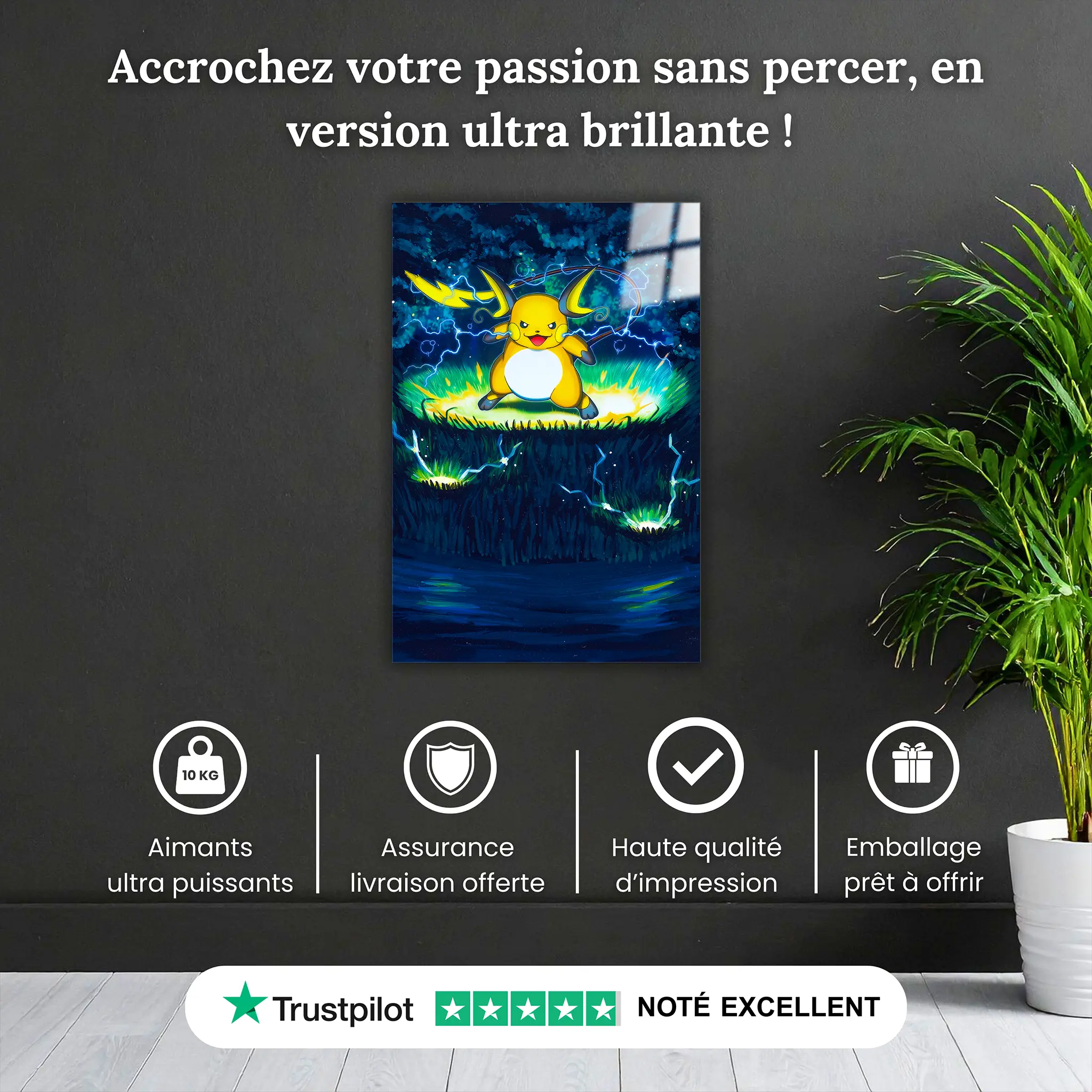 tableau-pokemon-raichu-tir-de-tonerre-pourquoi-acheter | DreamWay