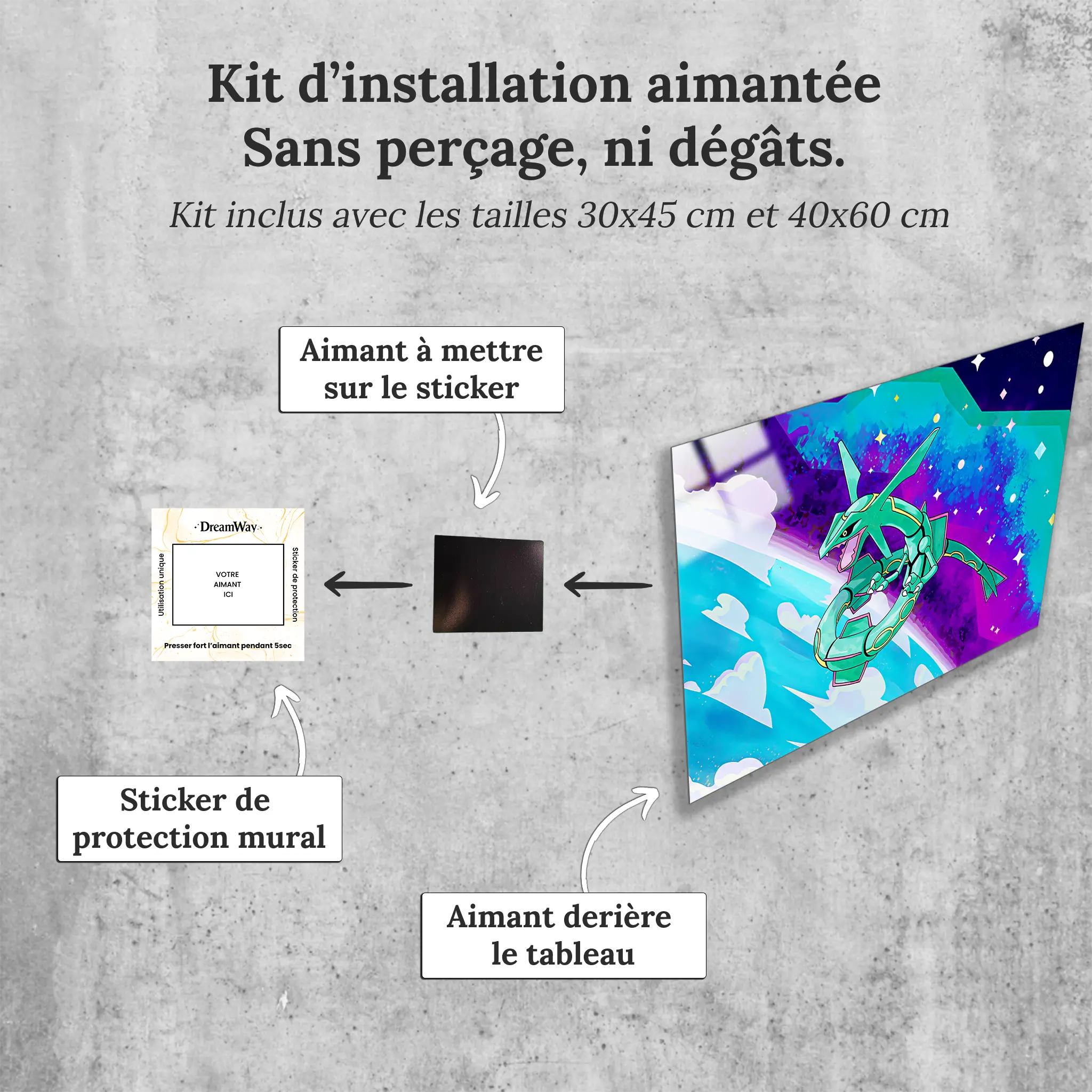tableau-pokemon-rayquaza-avec-installation-aimantee | DreamWay