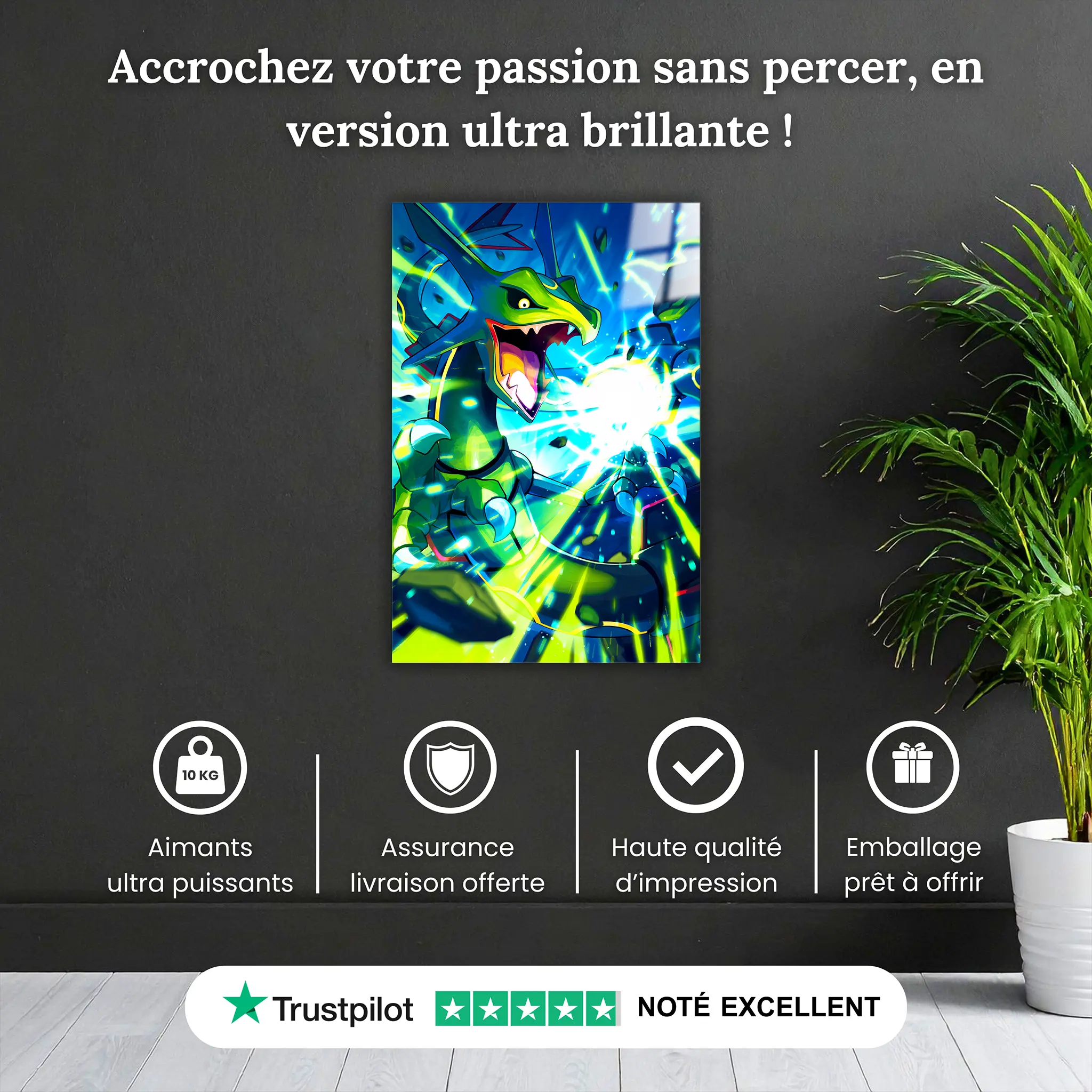 tableau-pokemon-rayquaza-portrait-pourquoi-acheter | DreamWay