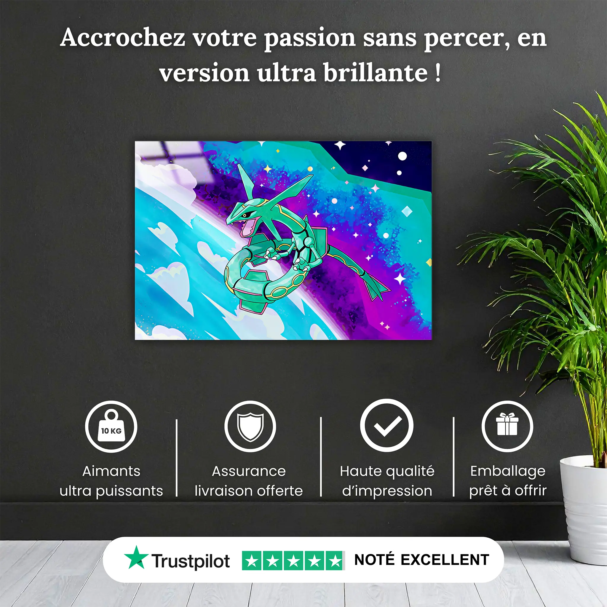 tableau-pokemon-rayquaza-pourquoi-acheter | DreamWay