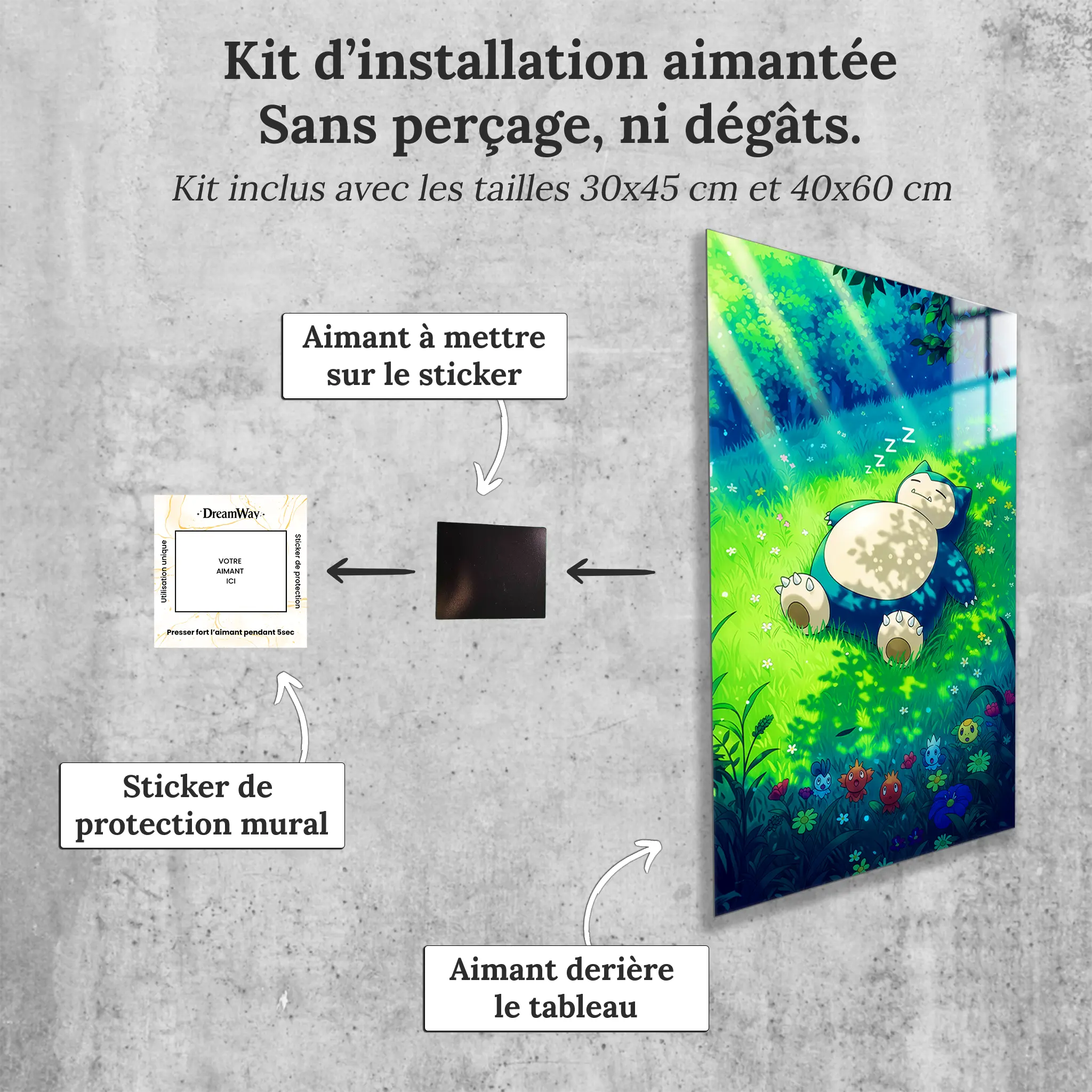 tableau-pokemon-ronflex-nature-avec-installation-aimantee | DreamWay