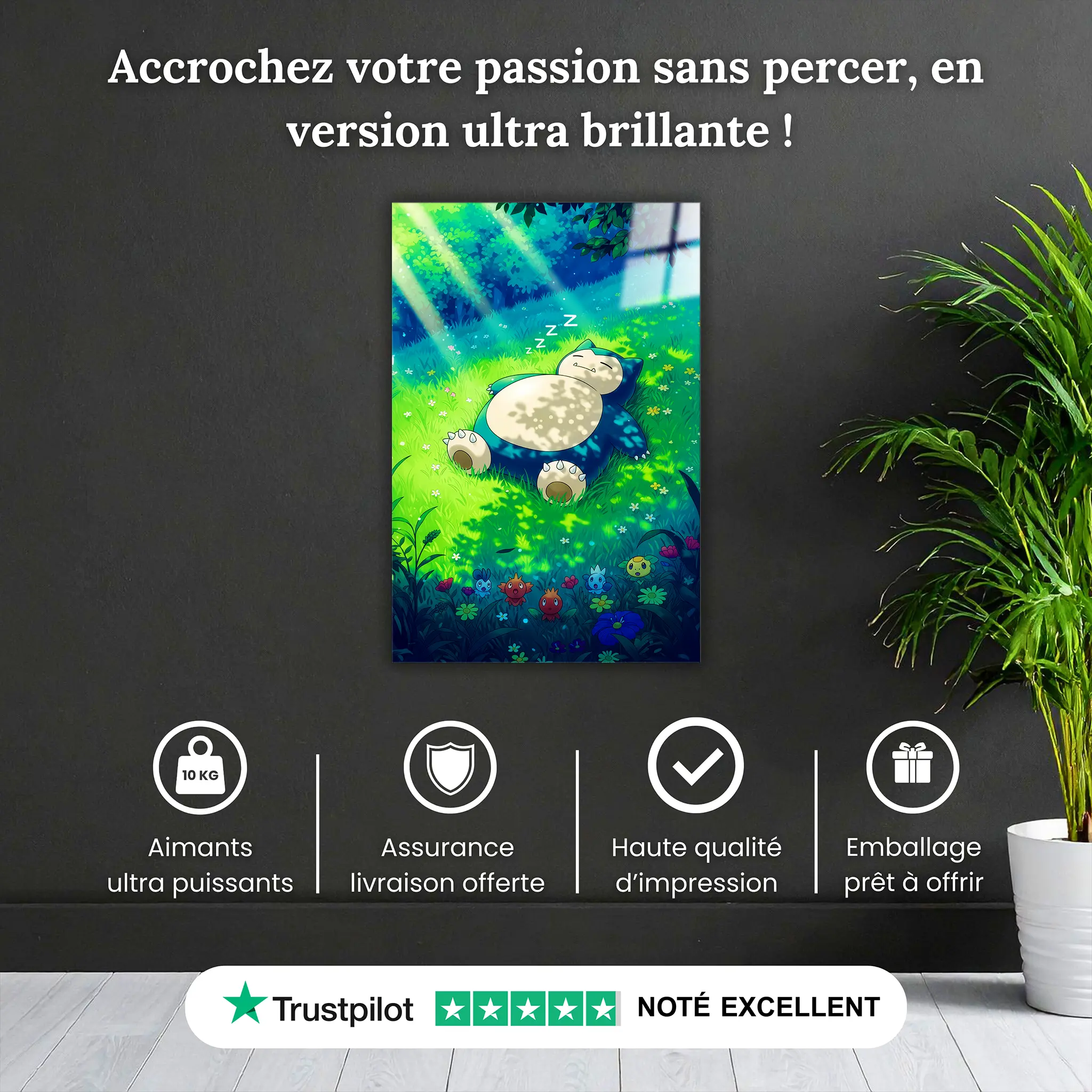 tableau-pokemon-ronflex-nature-pourquoi-acheter | DreamWay