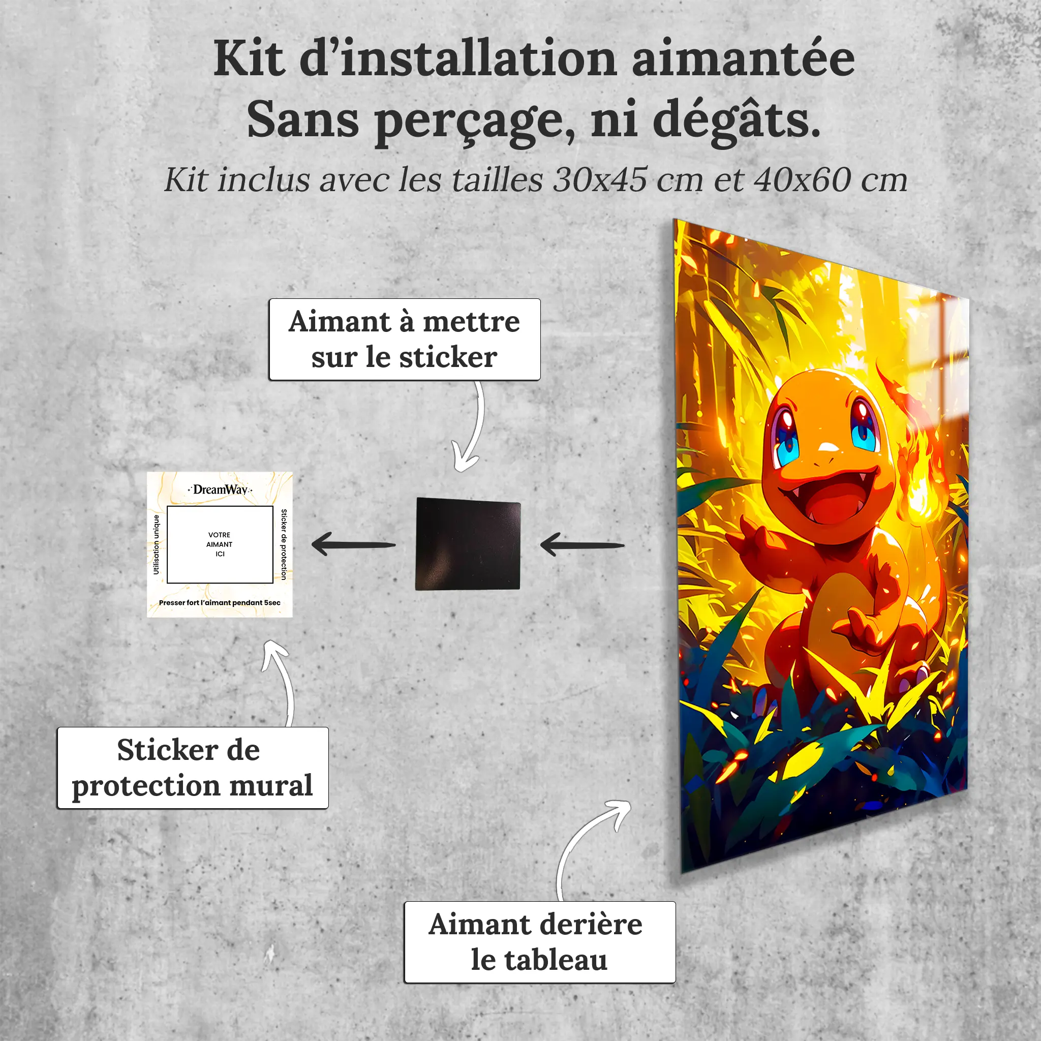 tableau-pokemon-salameche-avec-installation-aimantee | DreamWay