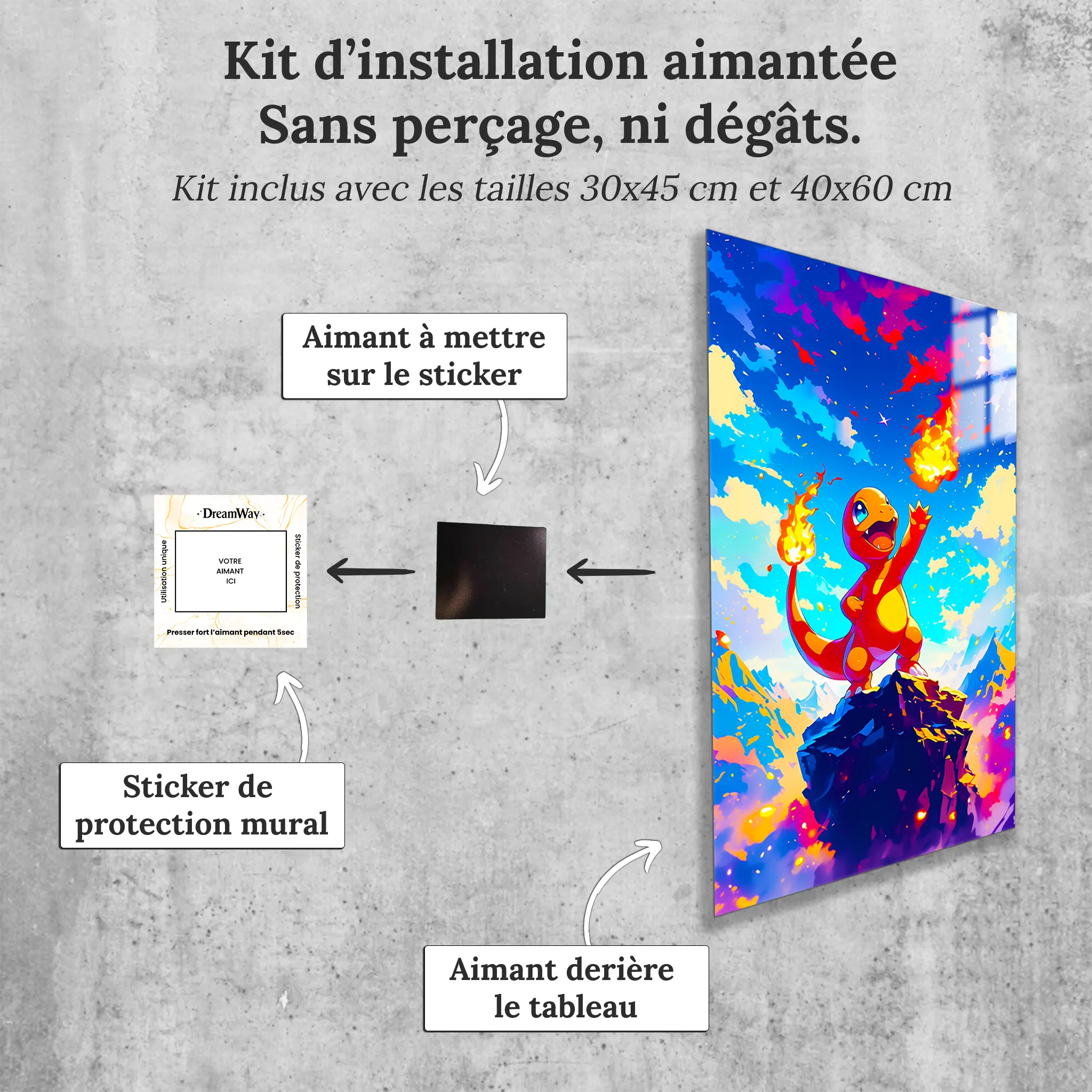 tableau-pokemon-salameche-paysage-avec-installation-aimantee | DreamWay