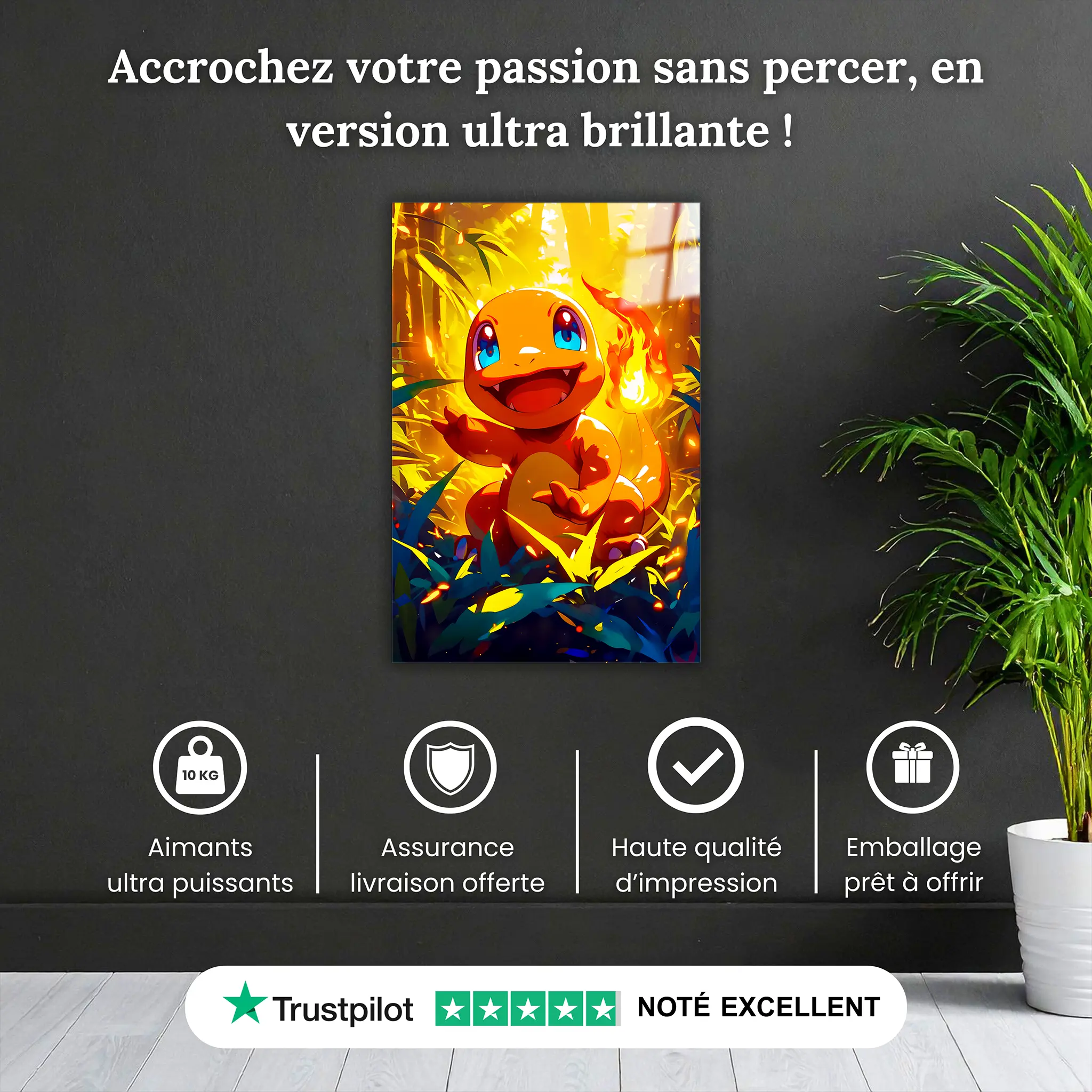 tableau-pokemon-salameche-pourquoi-acheter | DreamWay