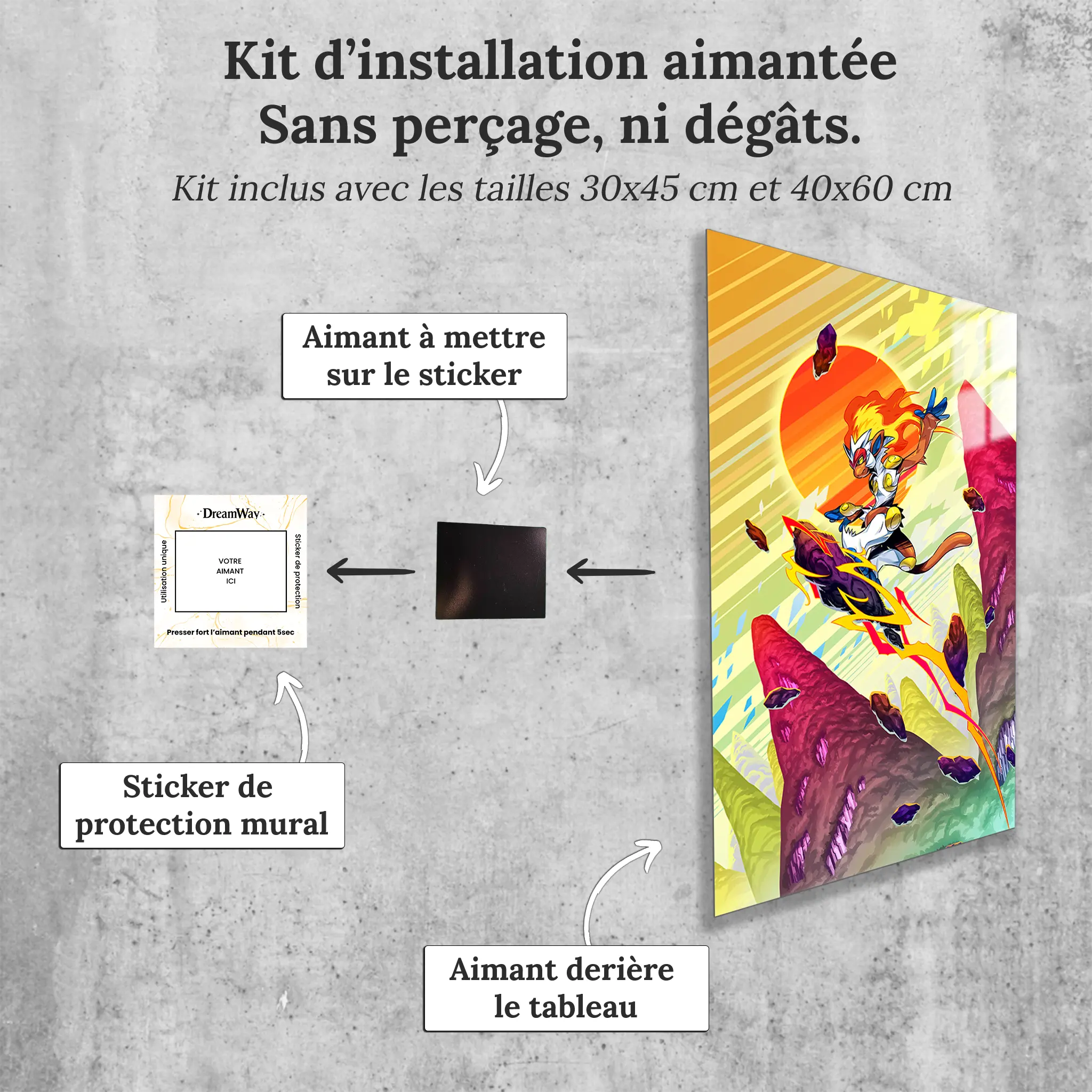 tableau-pokemon-simiabraz-avec-installation-aimantee | DreamWay