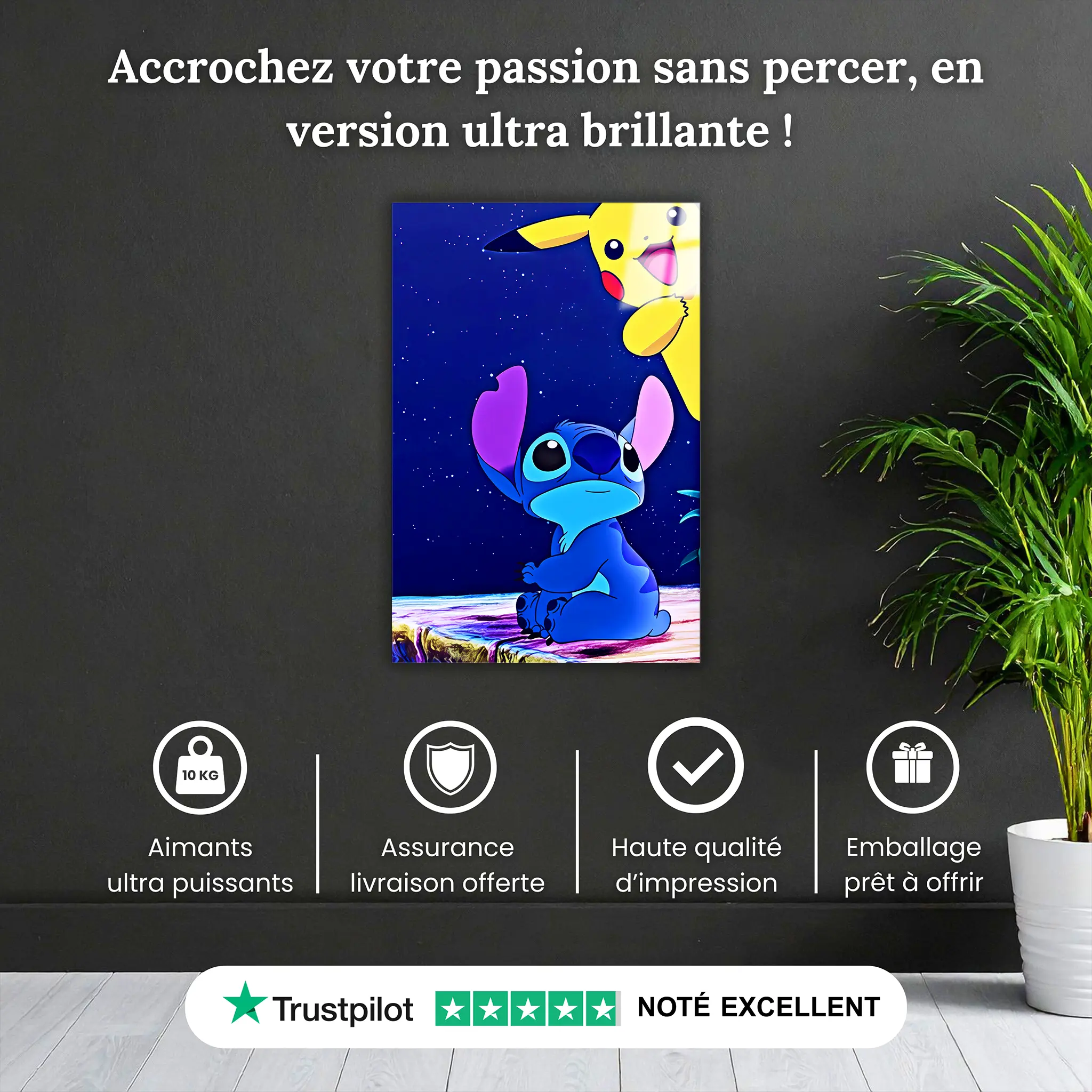 tableau-pokemon-stitch-et-pikachu-nuit-etoile-pourquoi-acheter | DreamWay