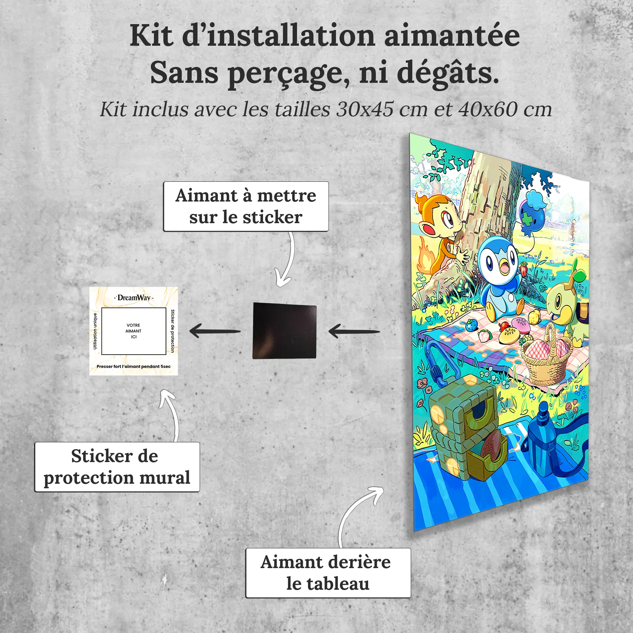 tableau-pokemon-tiplouf-tortipouss-et-ouisticram-avec-installation-aimantee | DreamWay