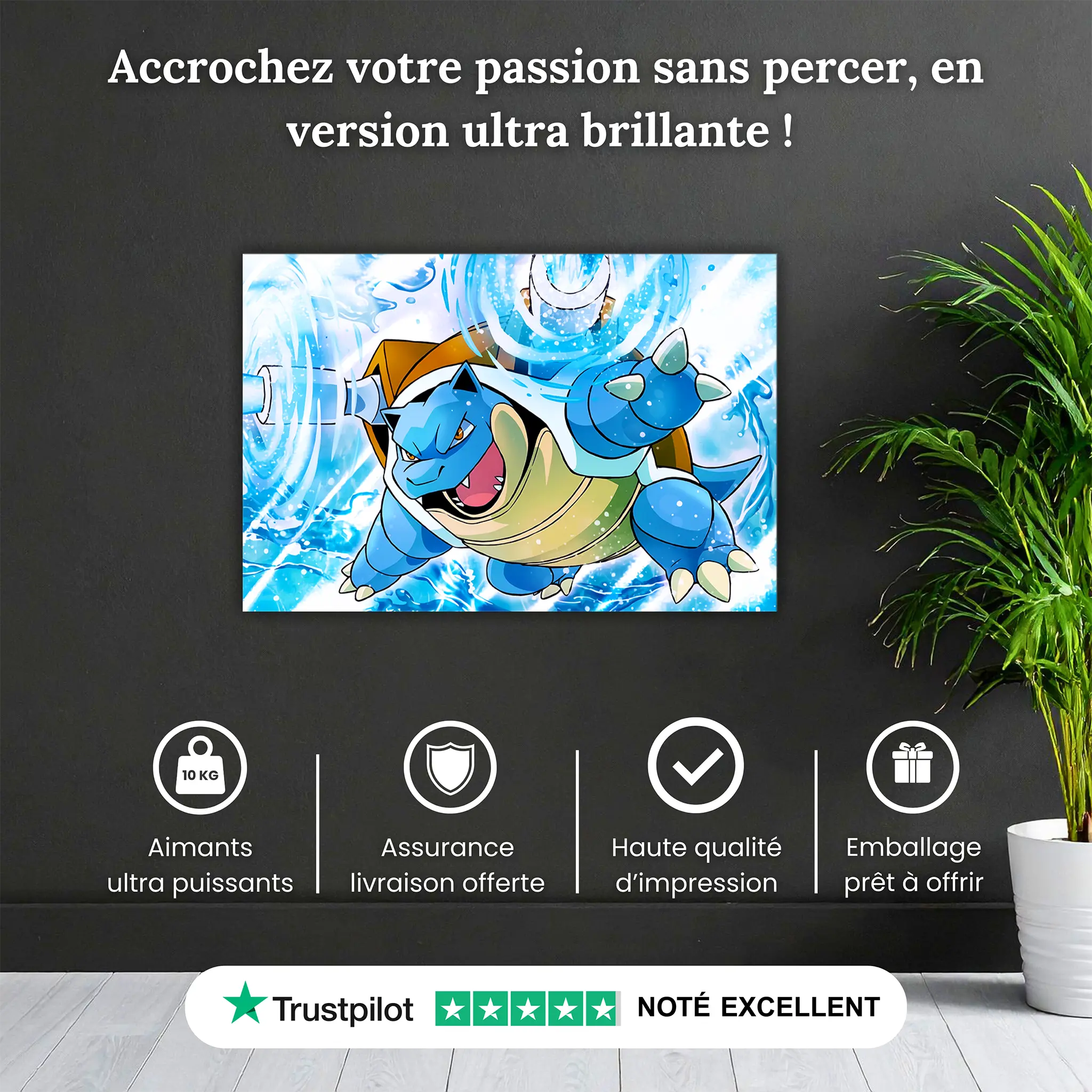 tableau-pokemon-tortank-attaque-pourquoi-acheter | DreamWay