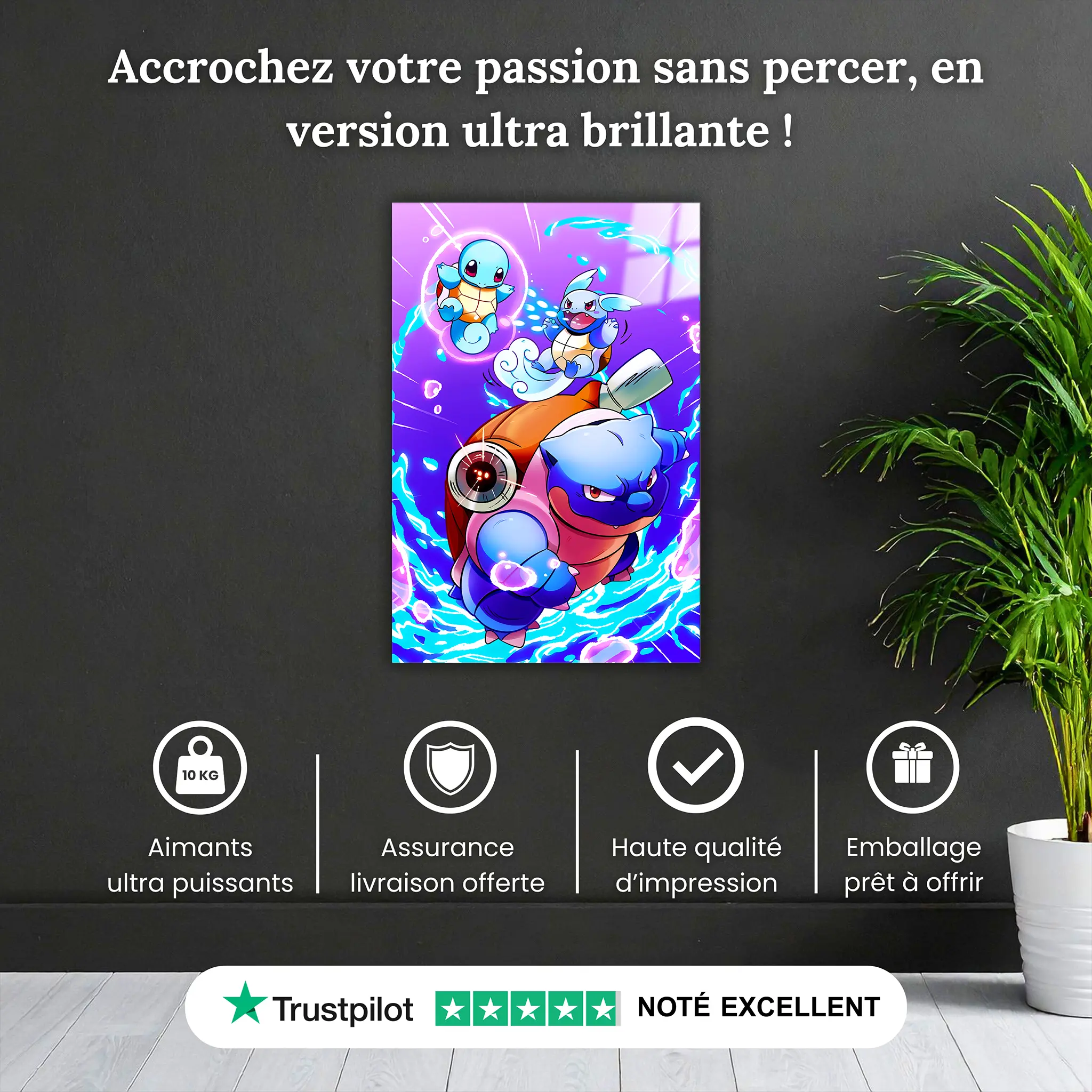 tableau-pokemon-tortank-carapuce-carabaffe-pourquoi-acheter | DreamWay