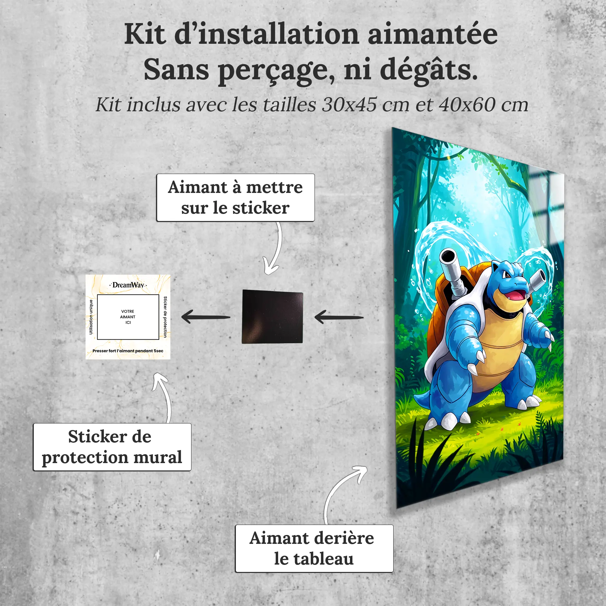 tableau-pokemon-tortank-nature-avec-installation-aimantee | DreamWay